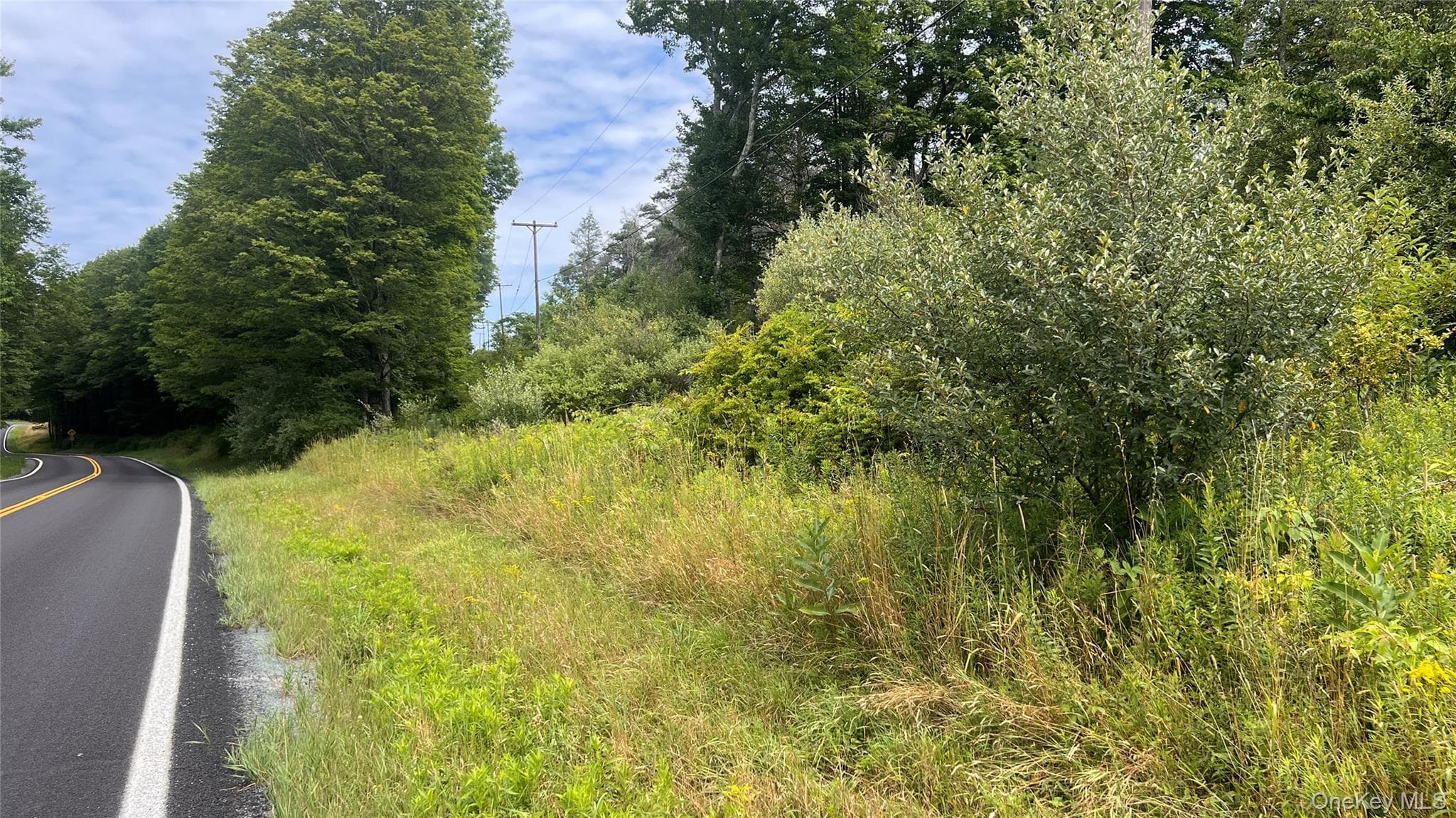 Horseshoe Lake Road thumbnail 4