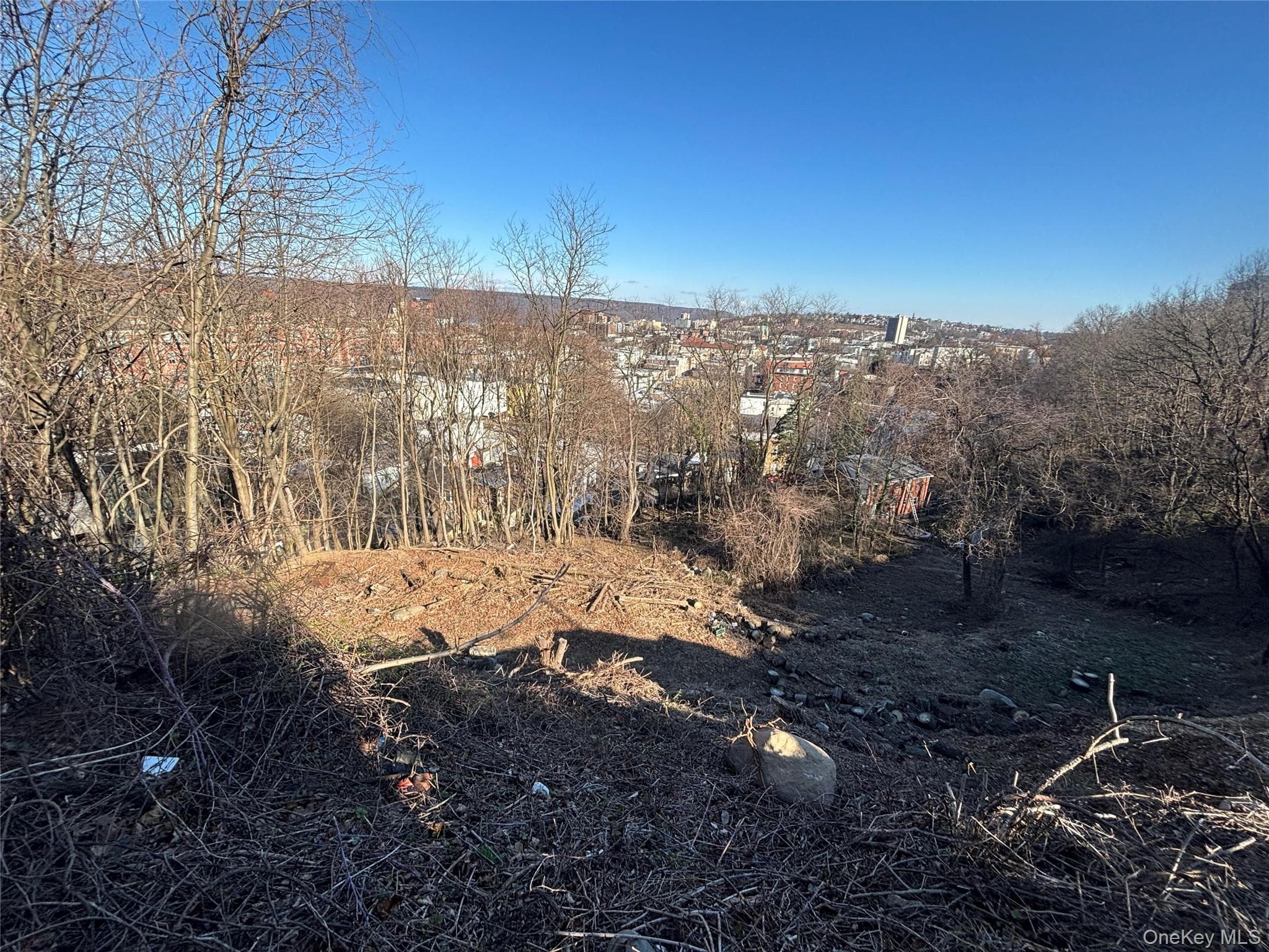 223 Glenbrook Avenue thumbnail 4