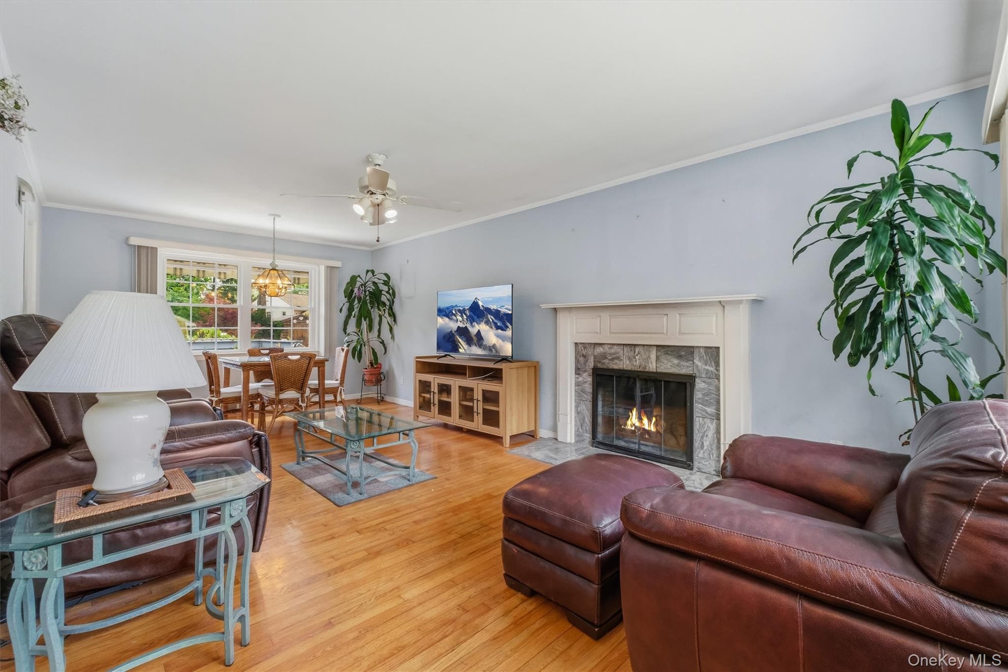 4 Broadview Road thumbnail 10