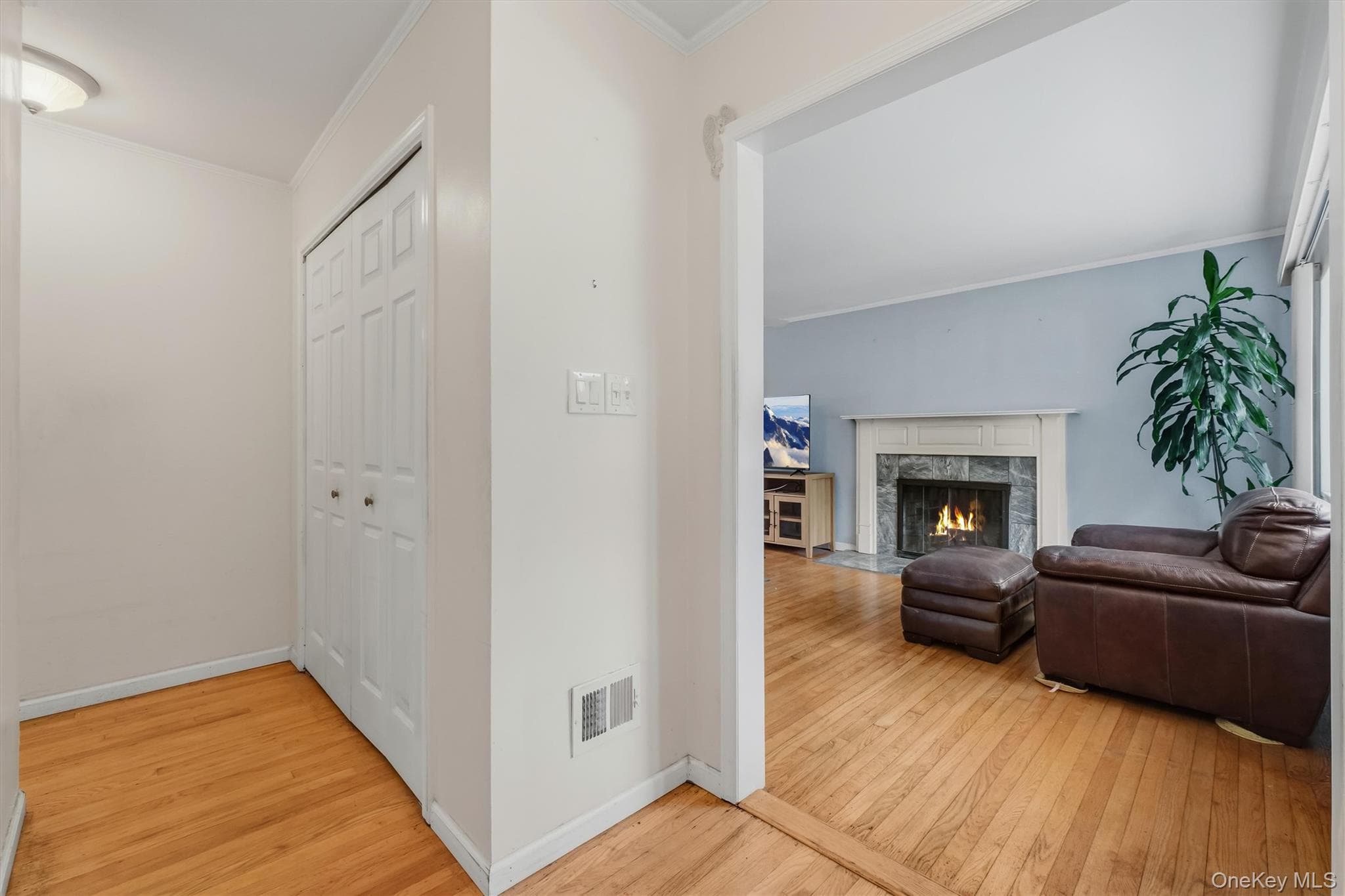 4 Broadview Road thumbnail 9
