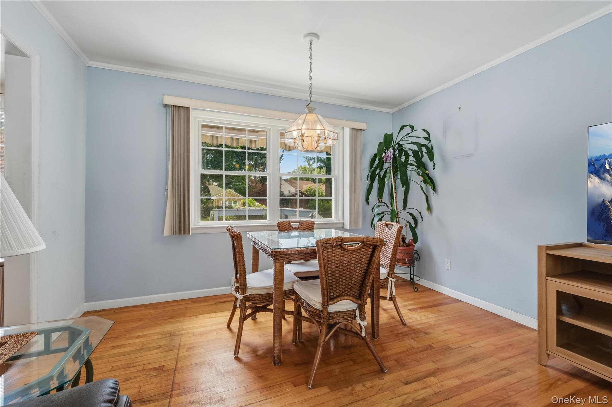 4 Broadview Road thumbnail 16