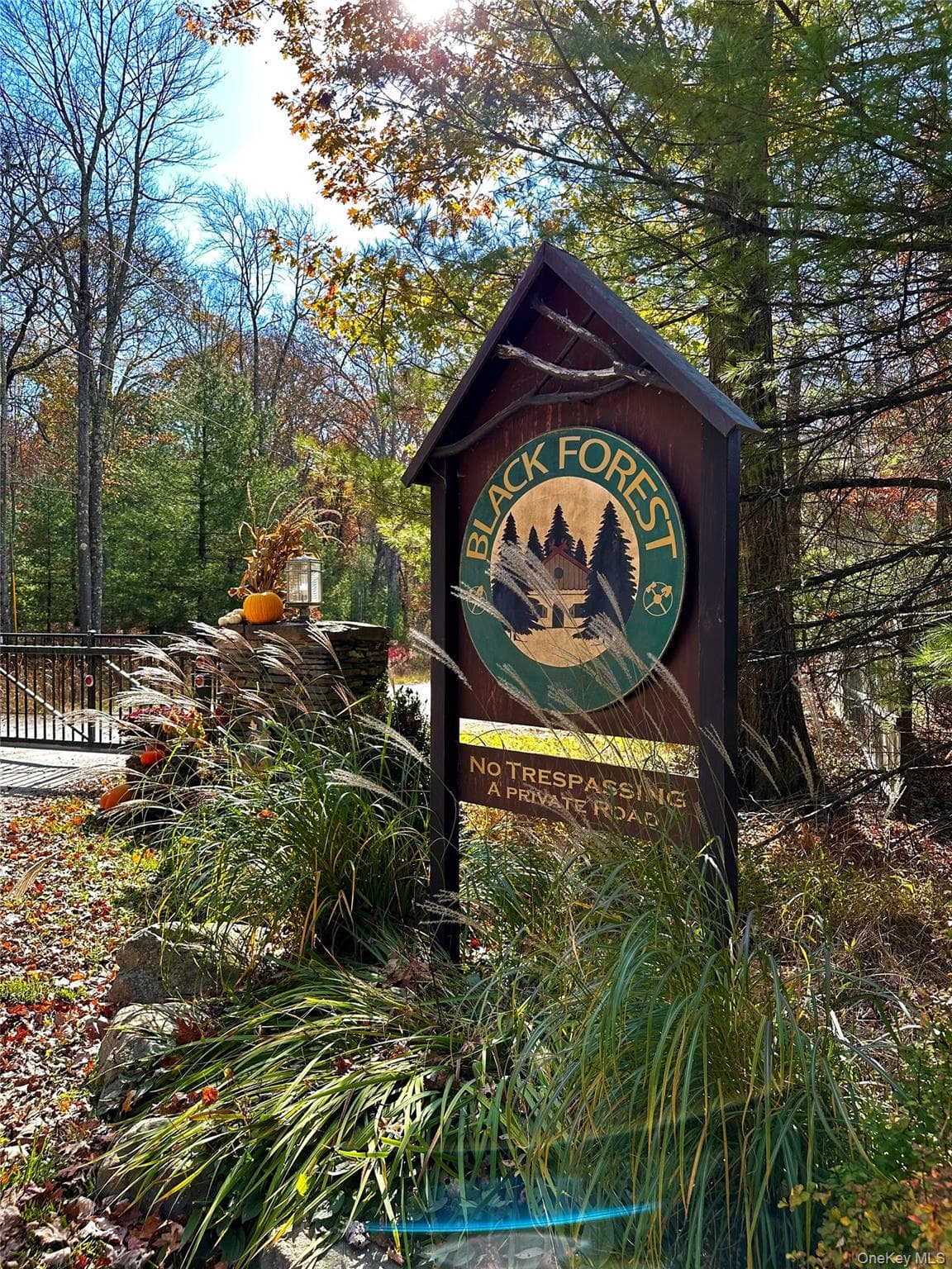 Upper Lumber Road photo 1