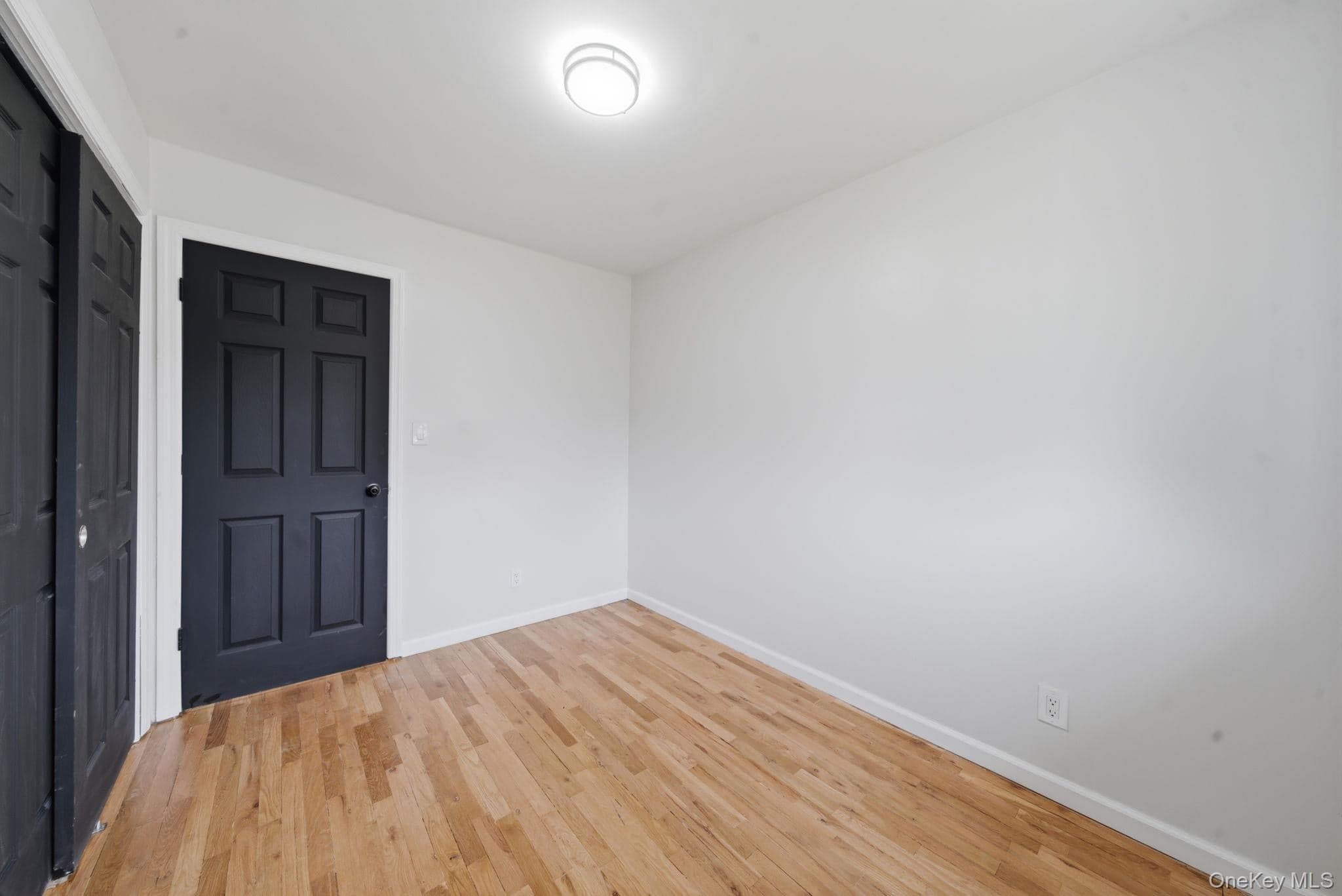 335 Lewis Avenue thumbnail 19