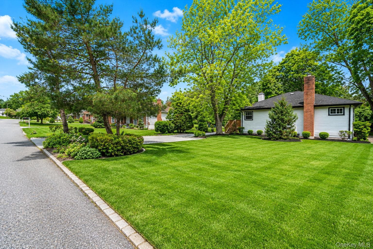 335 Lewis Avenue thumbnail 5