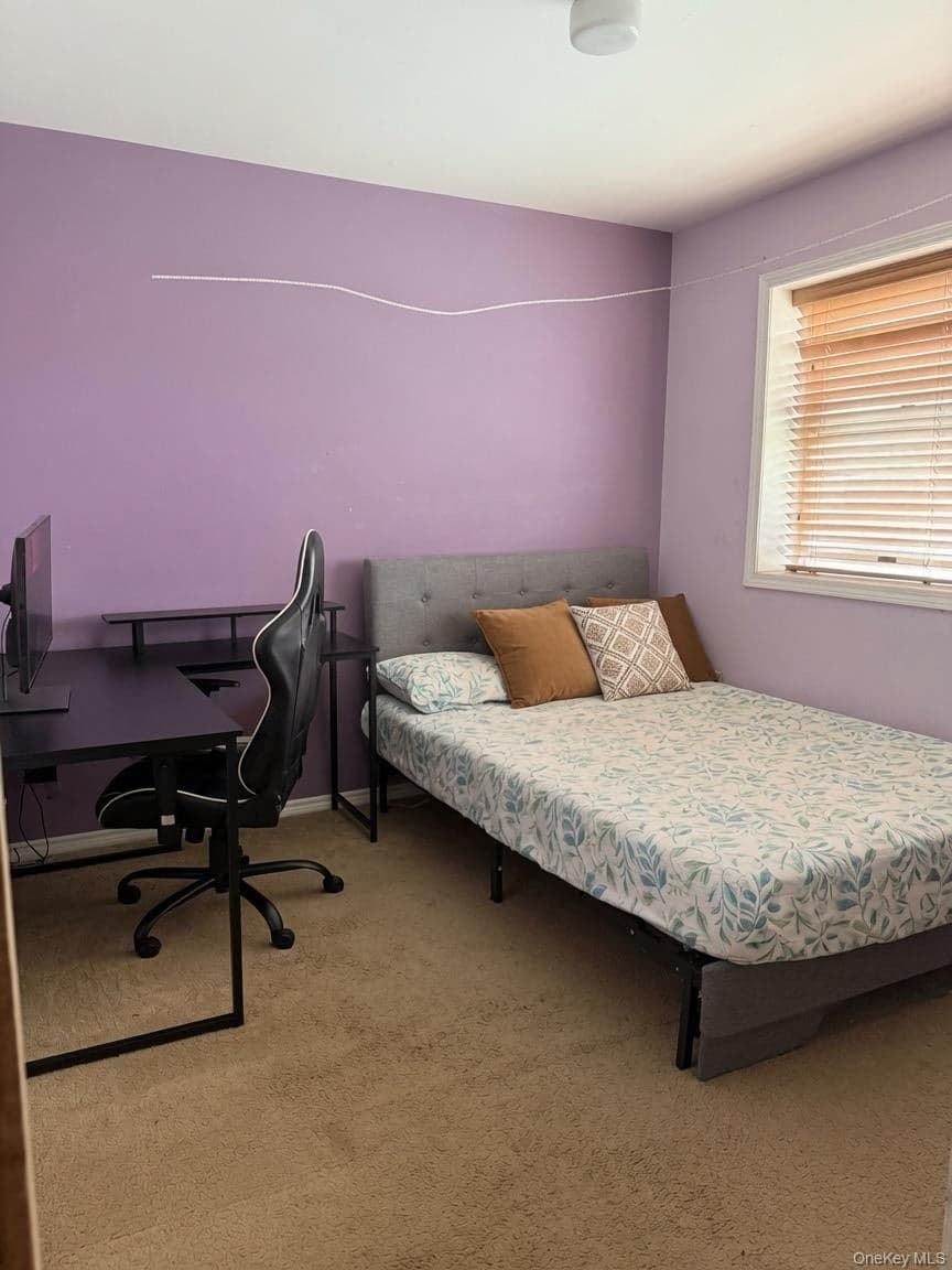 3 Prospect Gardens Unit: 3 thumbnail 11