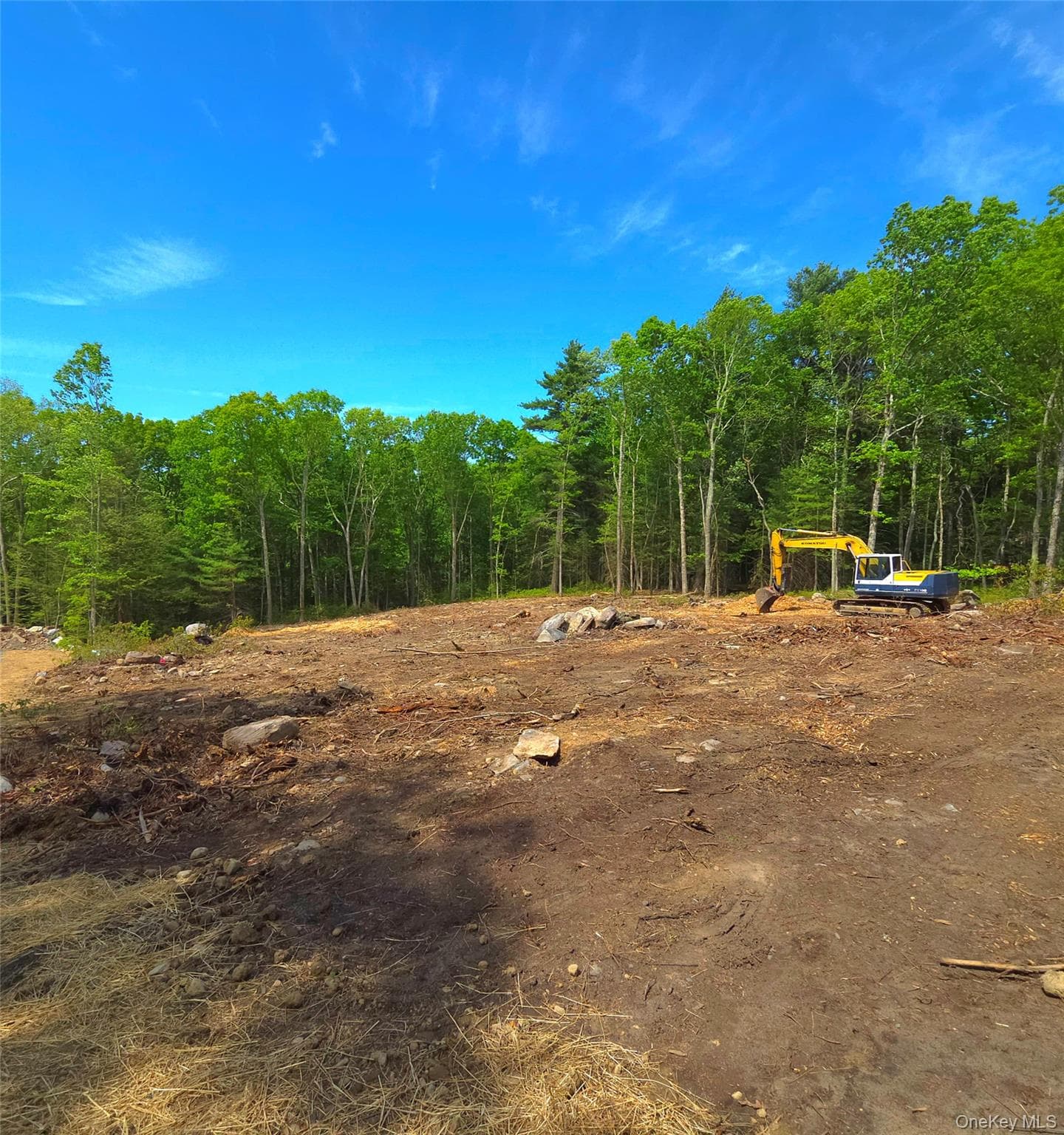 1027 Pine Kill Road photo 1