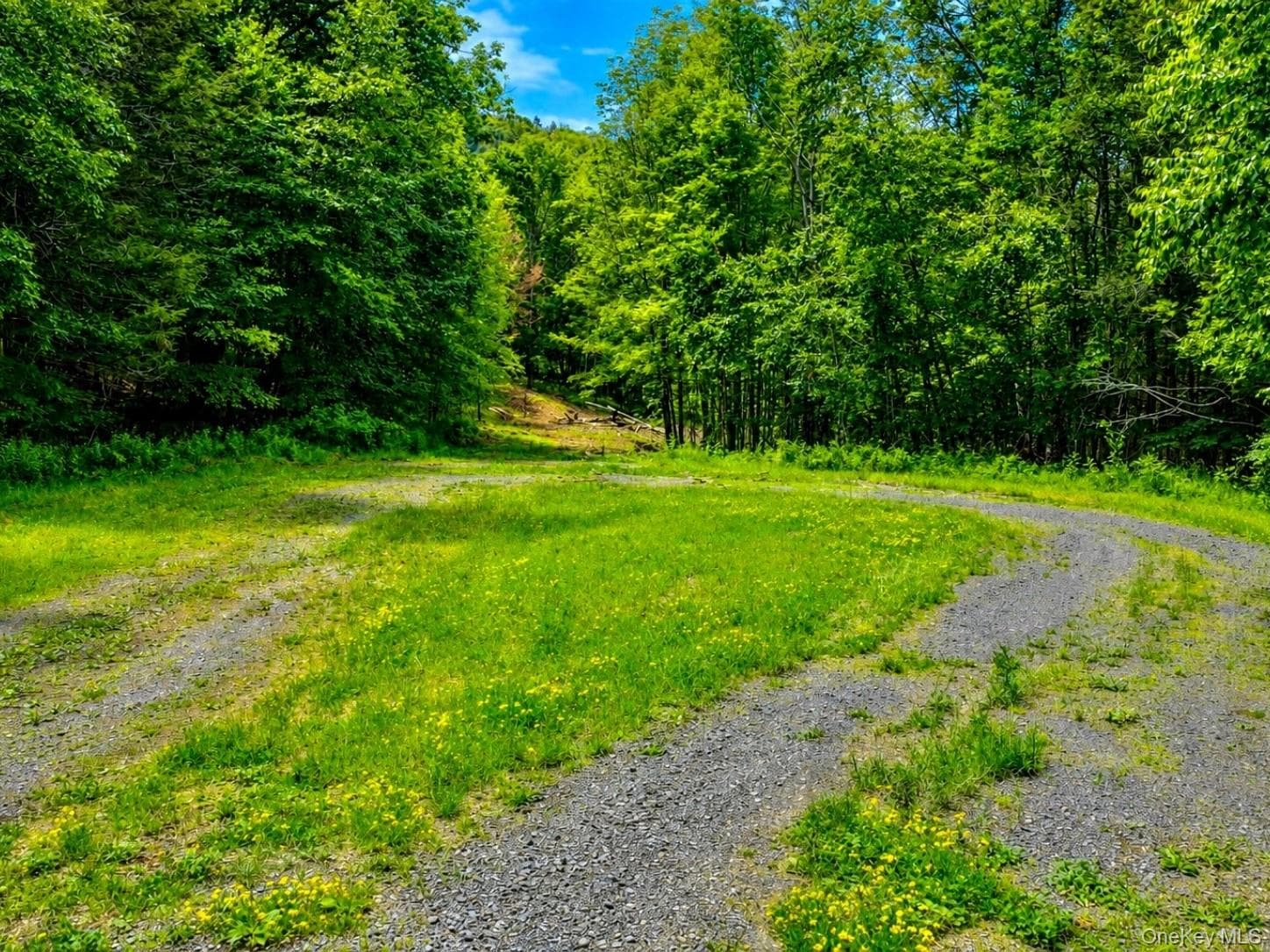 TBD Valley View Road thumbnail 8