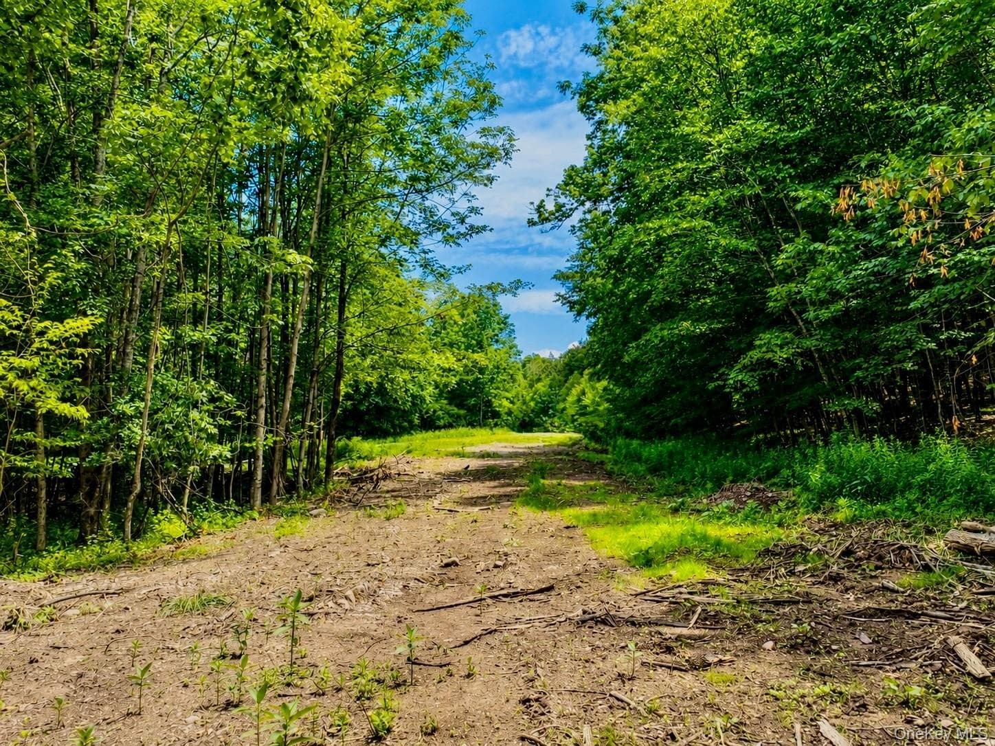 TBD Valley View Road thumbnail 12