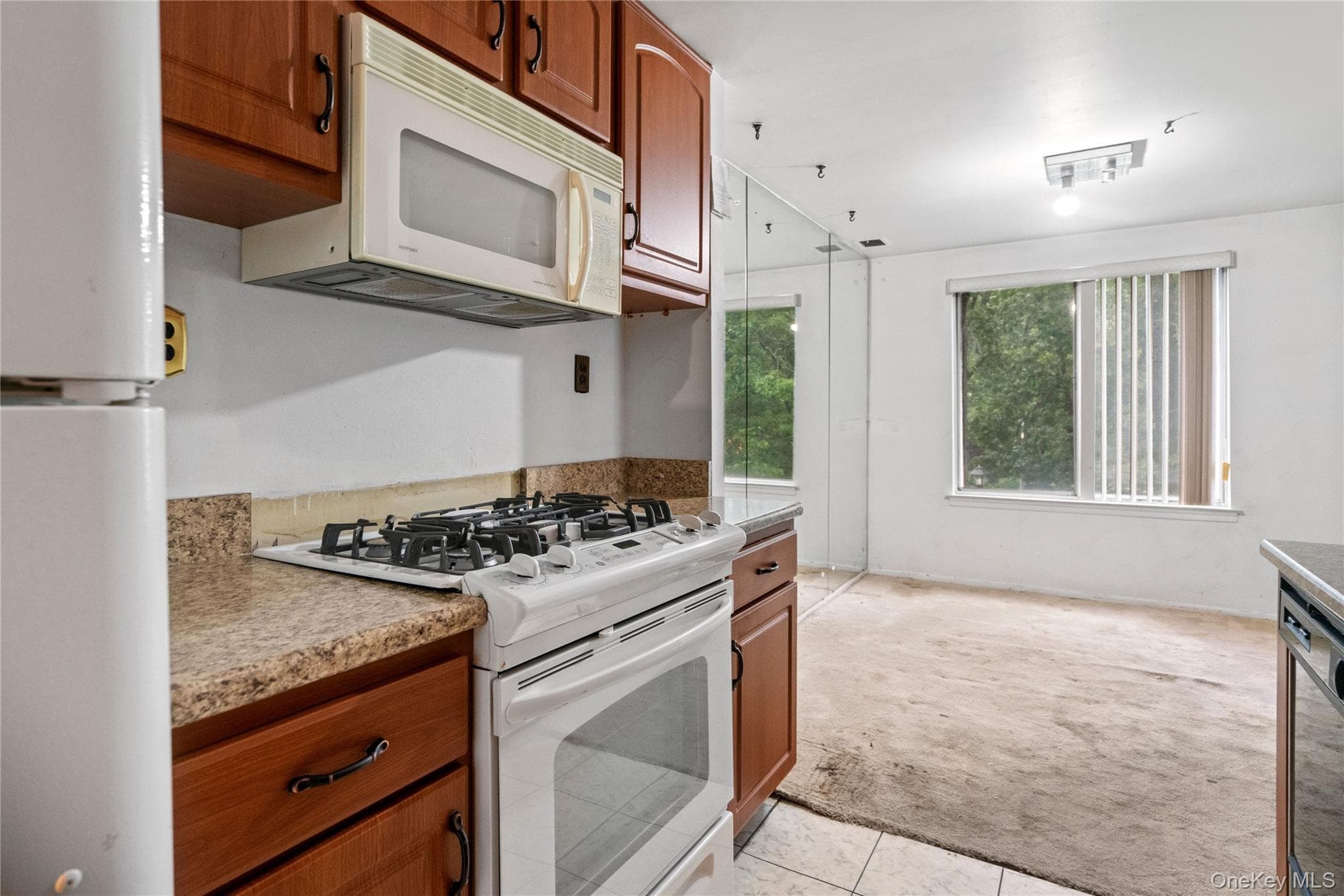 221 Sagamore Hills Drive Unit: 221 thumbnail 12
