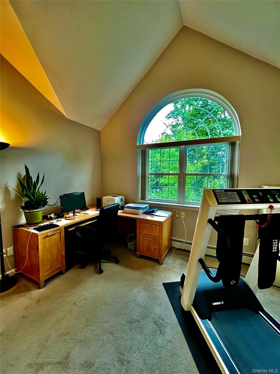 473 Ingrassia Road thumbnail 21