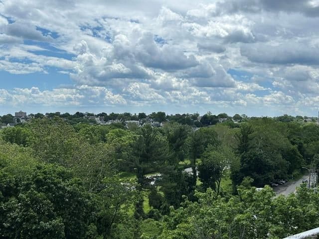 671 Bronx River Road Unit: 6G thumbnail 12