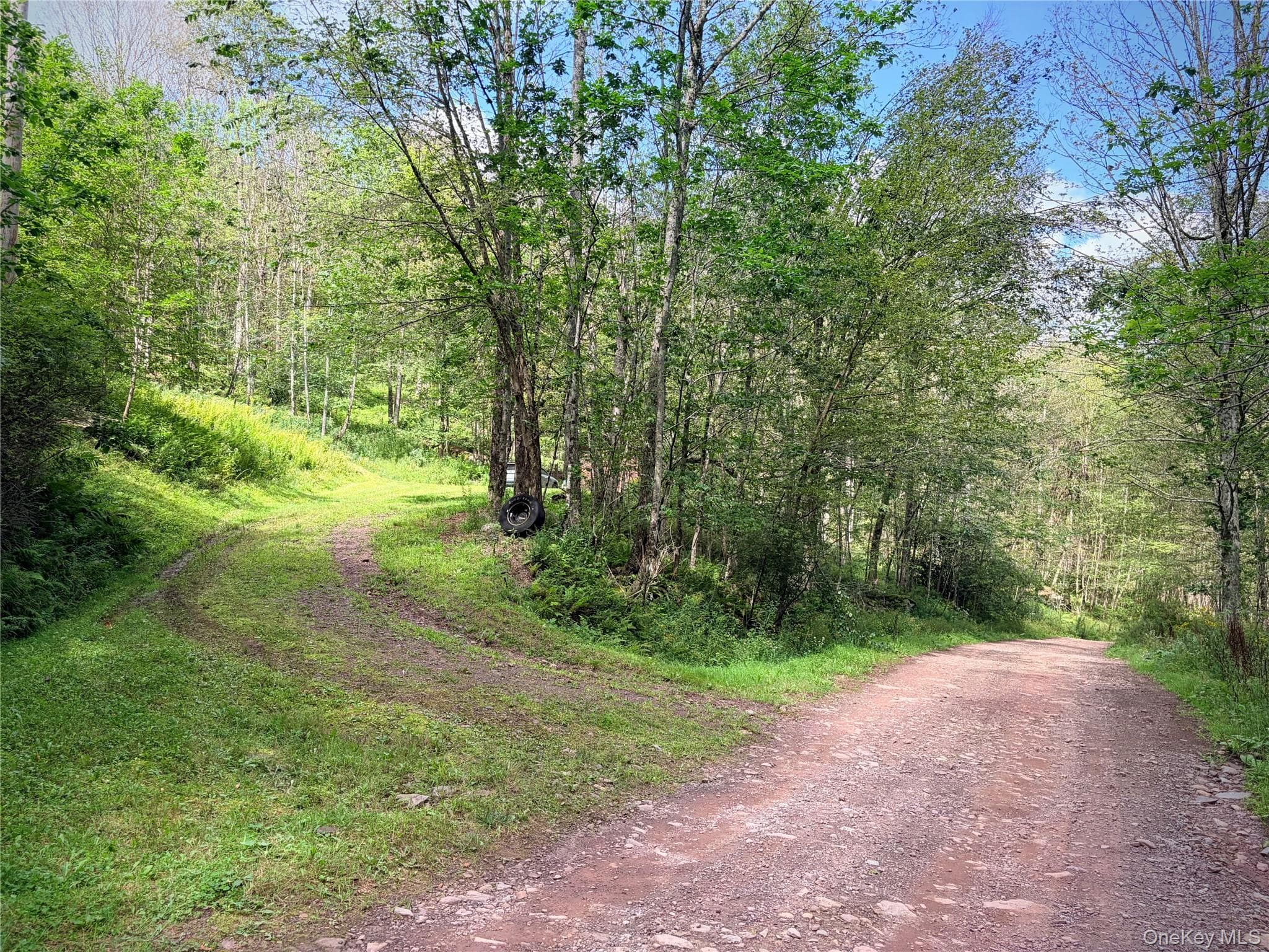 494 Doyle Road thumbnail 15