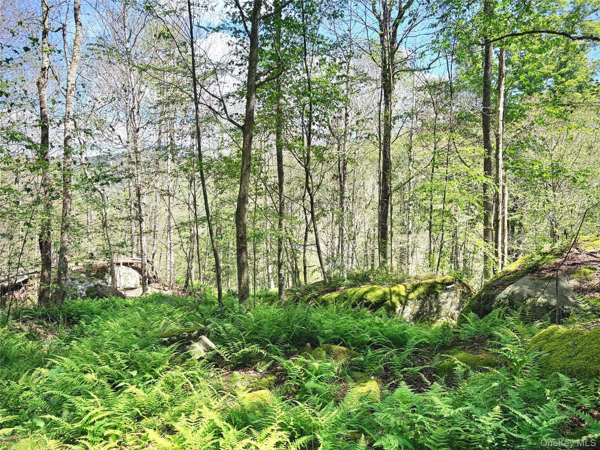494 Doyle Road thumbnail 28
