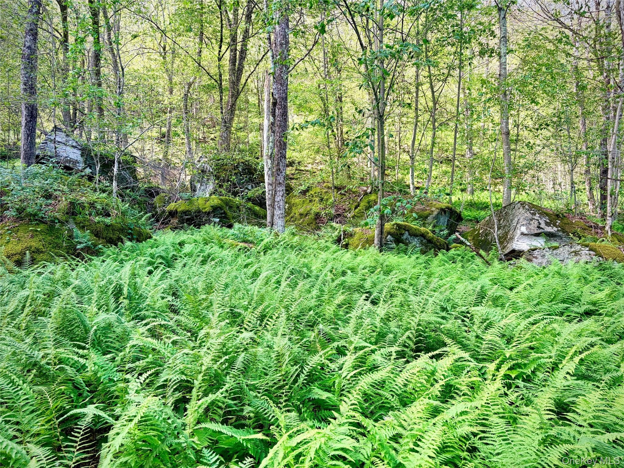 494 Doyle Road thumbnail 27