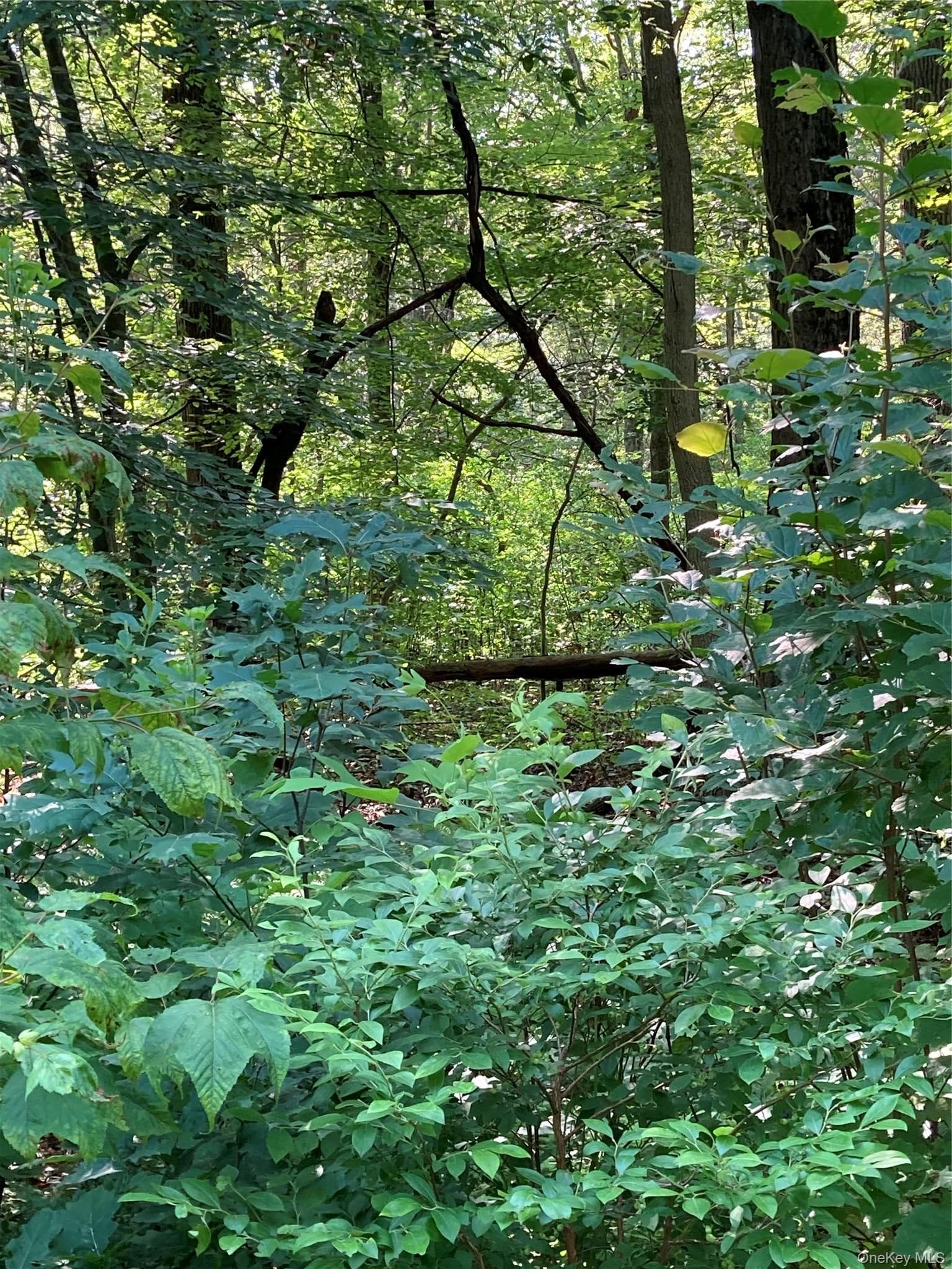 15 Adam Wagner Lane thumbnail 14