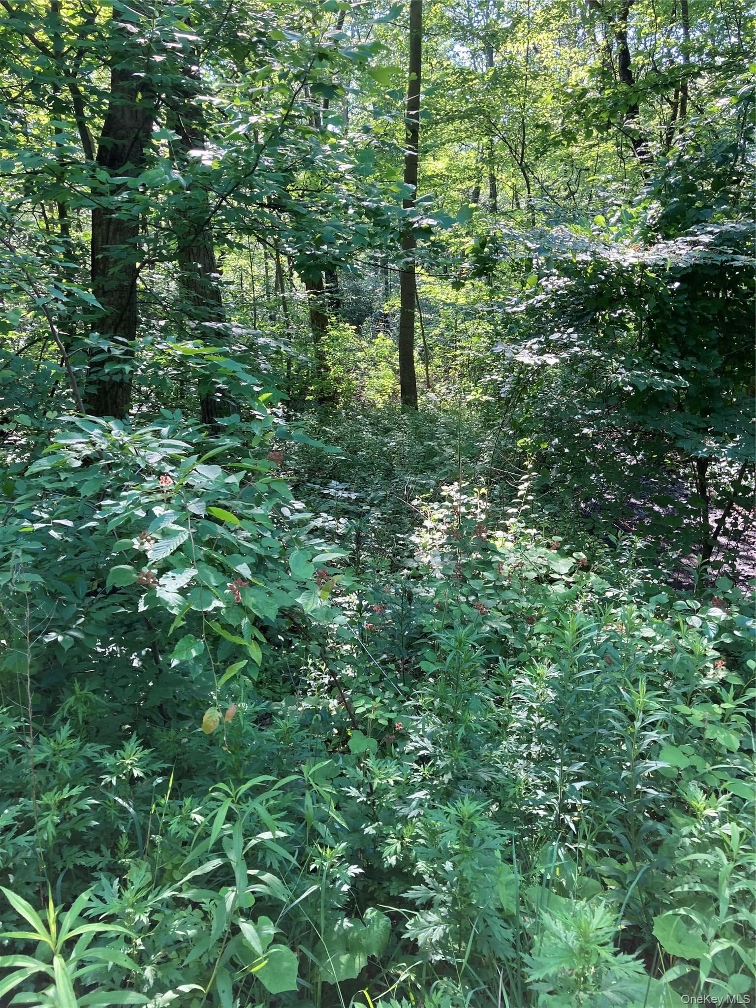 15 Adam Wagner Lane thumbnail 15