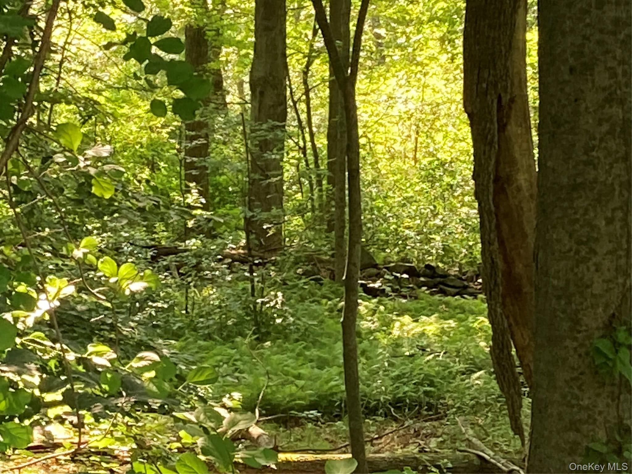 15 Adam Wagner Lane thumbnail 13