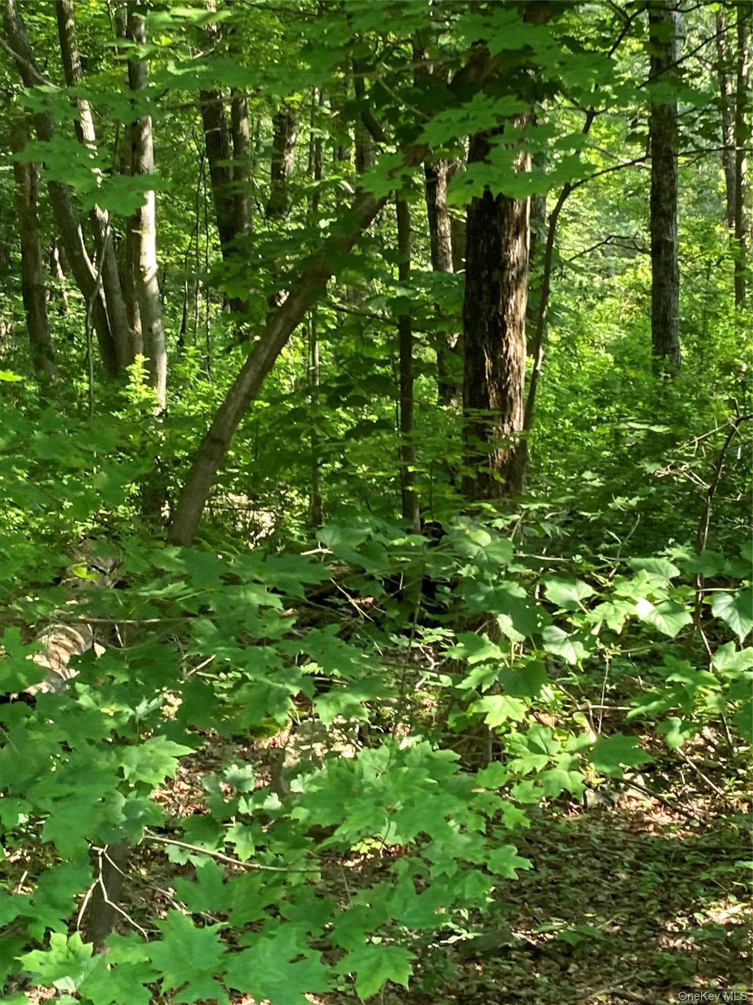 15 Adam Wagner Lane thumbnail 9