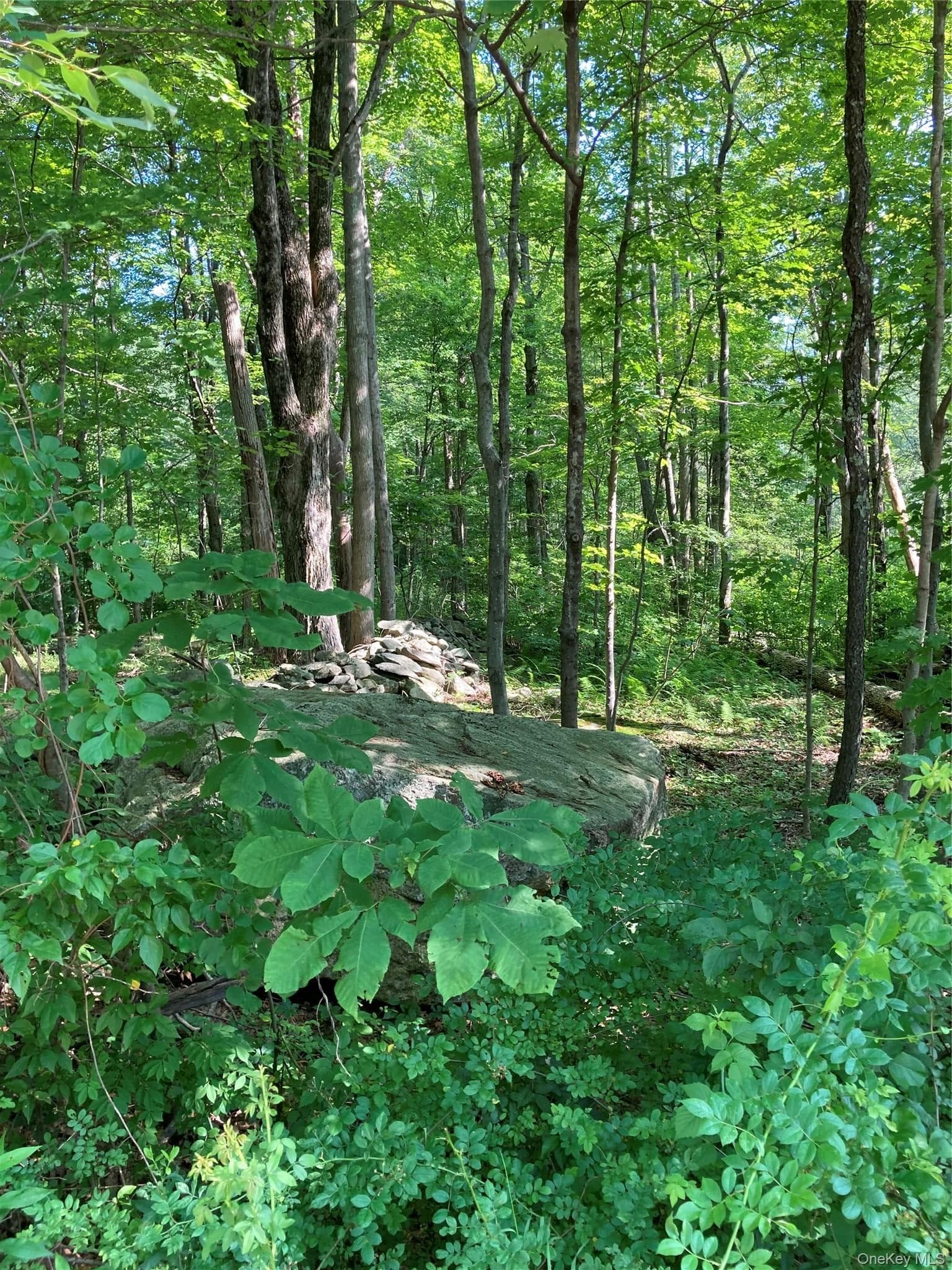 15 Adam Wagner Lane thumbnail 6