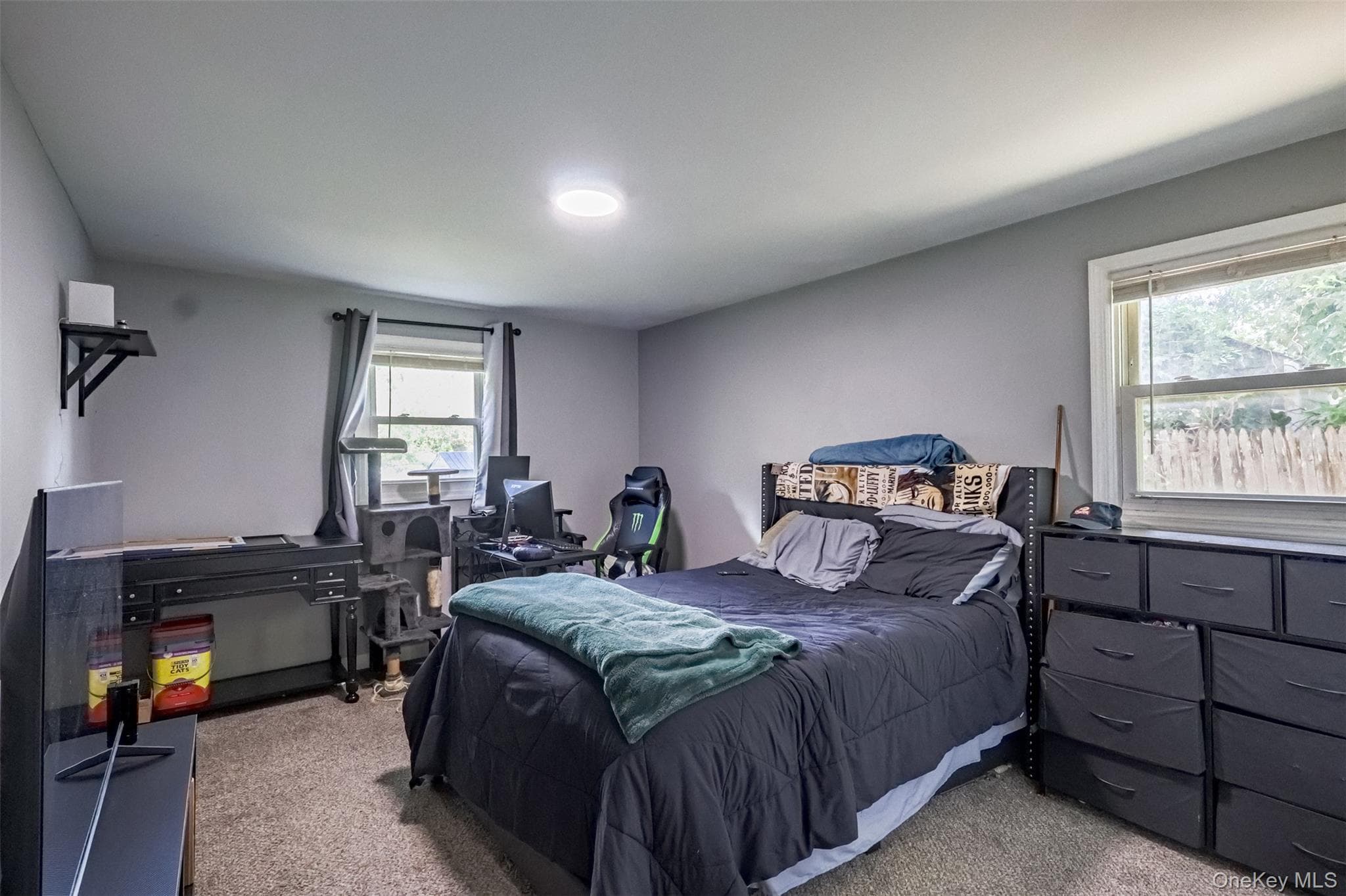 3 Elmwood Avenue thumbnail 10