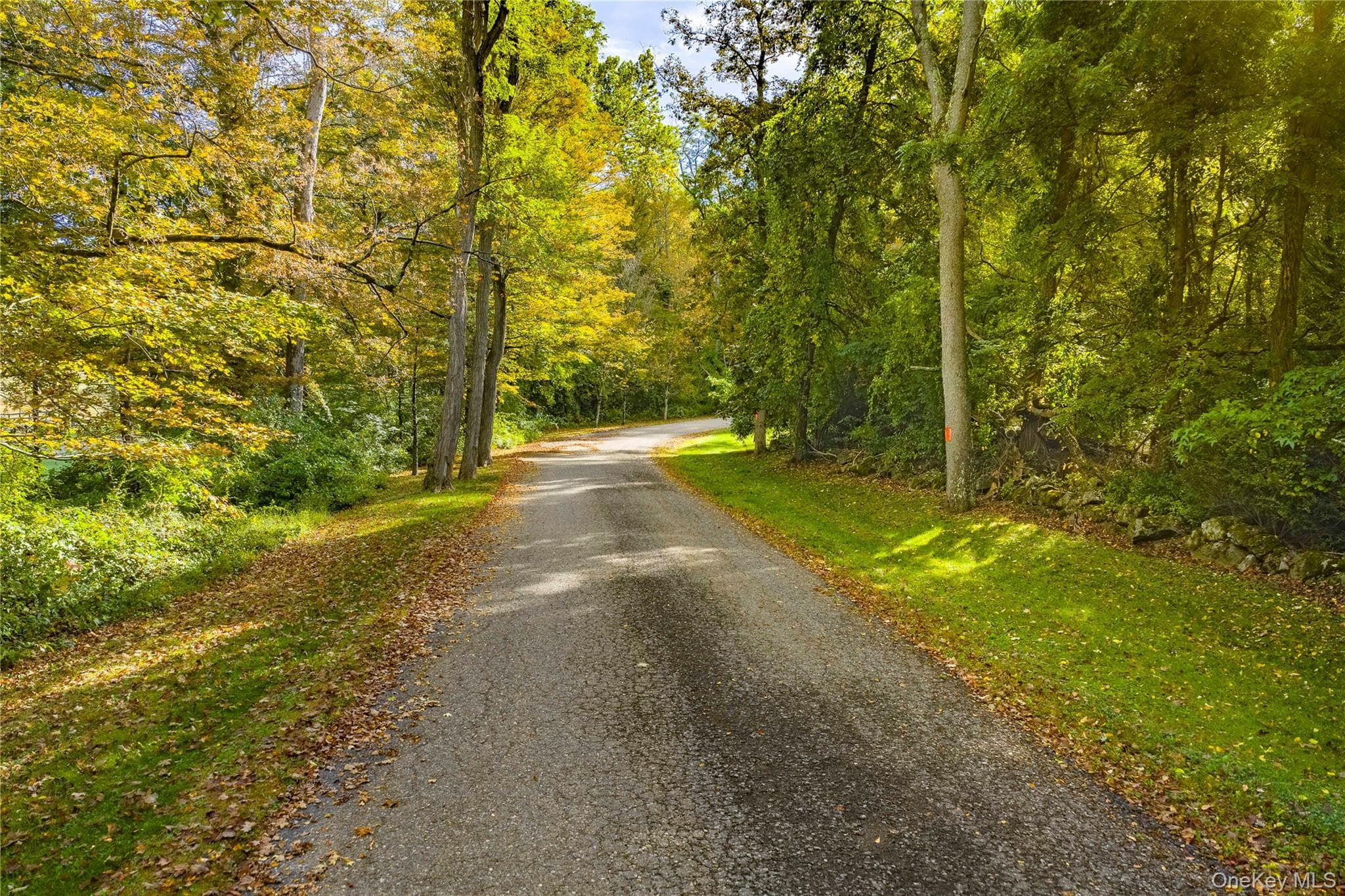Lot 21 Cox Road thumbnail 7