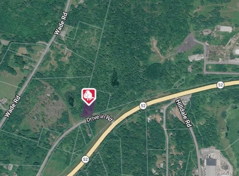 Drive In, Fallsburg