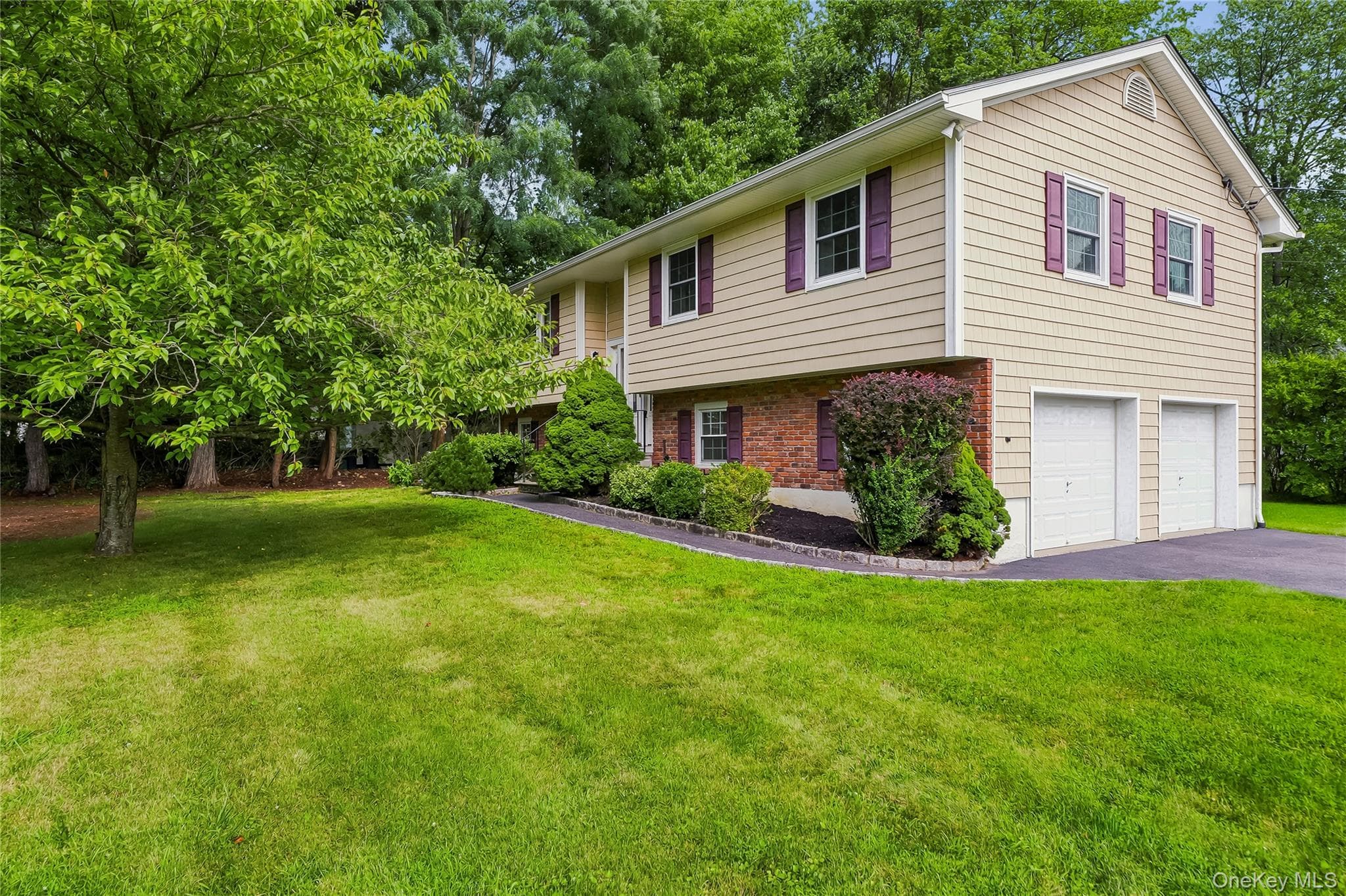 181 Montross Road thumbnail 5