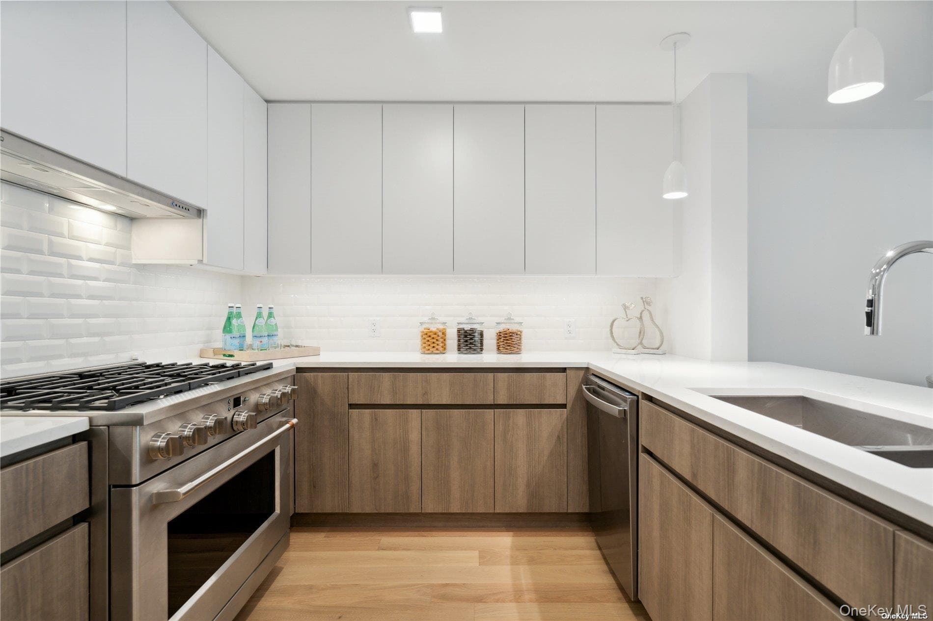 218 Middle Neck Road Unit: 102 thumbnail 23