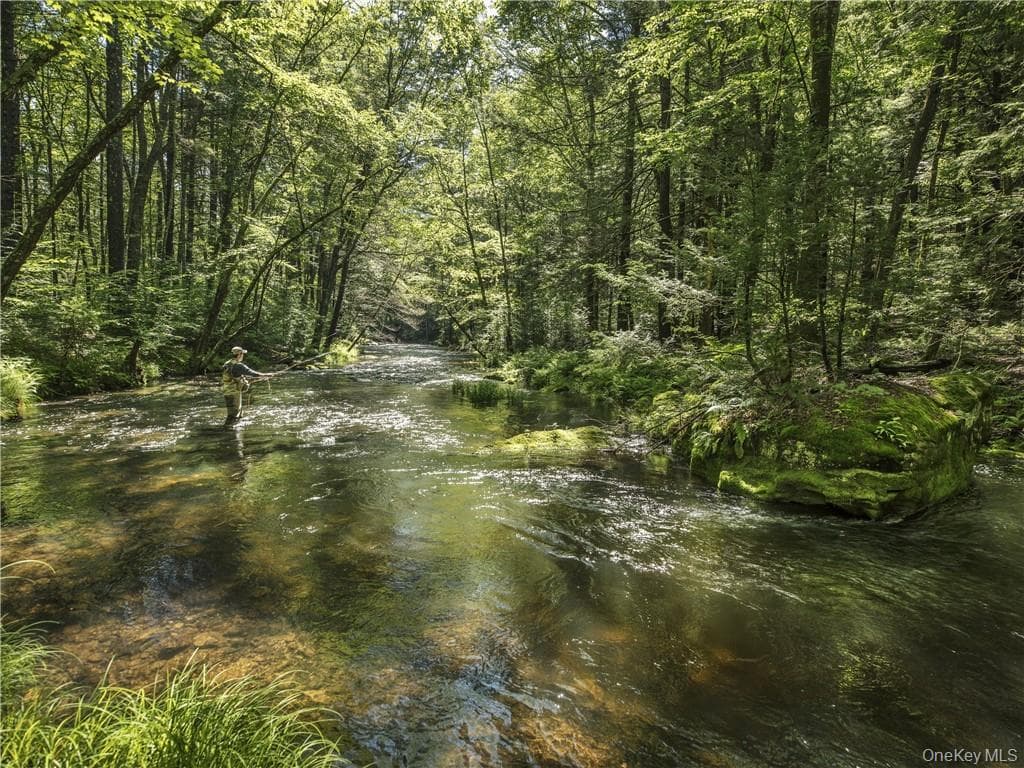 Lot 4 Chapin Trail thumbnail 16