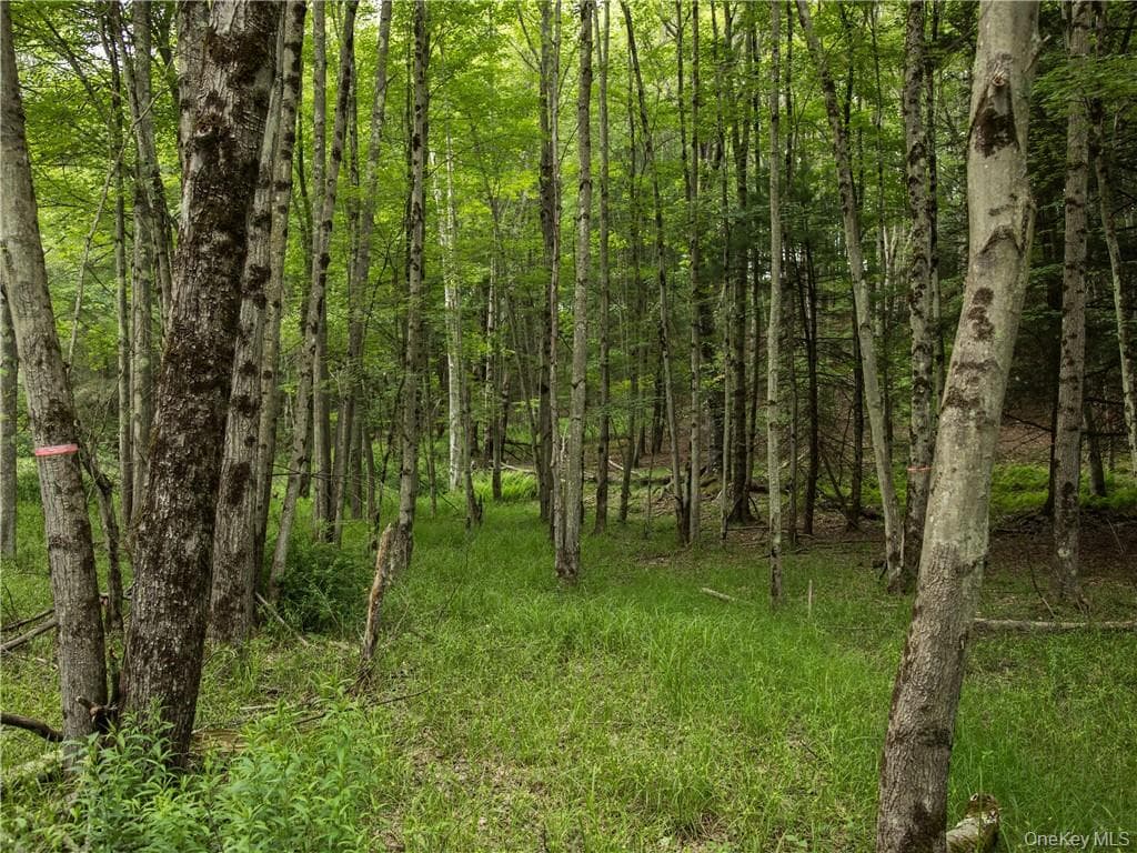 Lot 4 Chapin Trail thumbnail 7