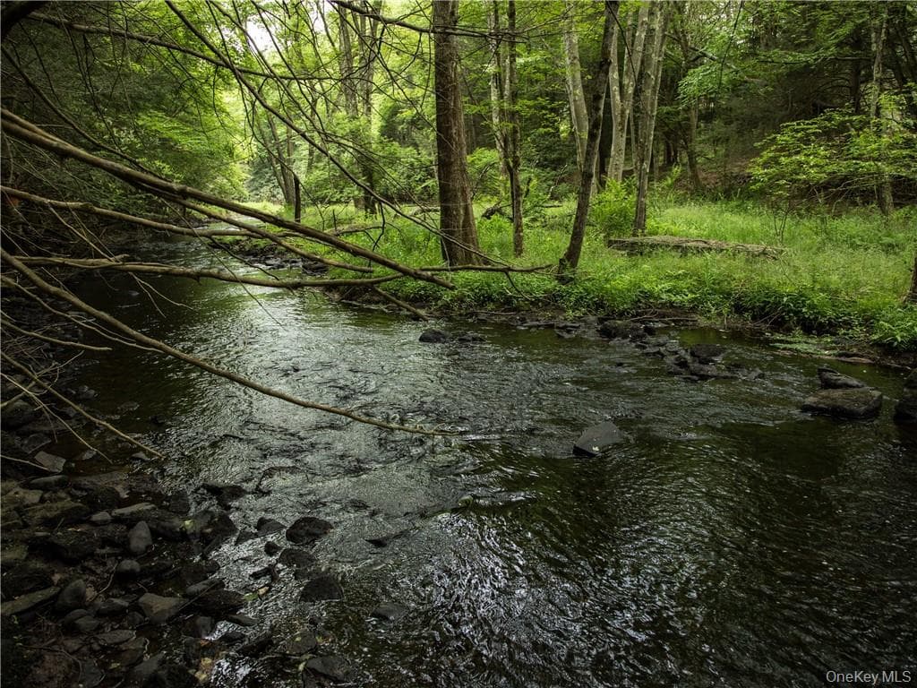 Lot 4 Chapin Trail thumbnail 6