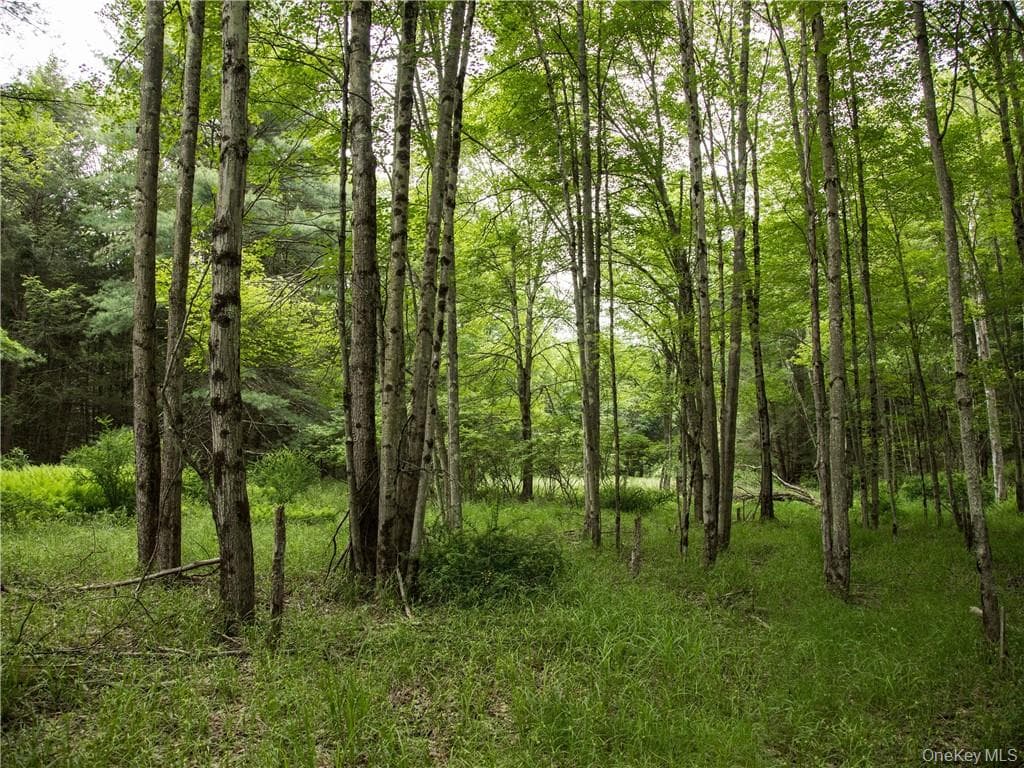 Lot 4 Chapin Trail thumbnail 9