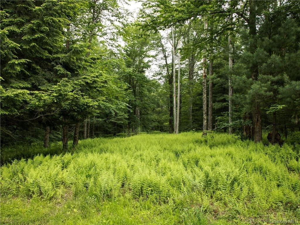 Lot 4 Chapin Trail thumbnail 3