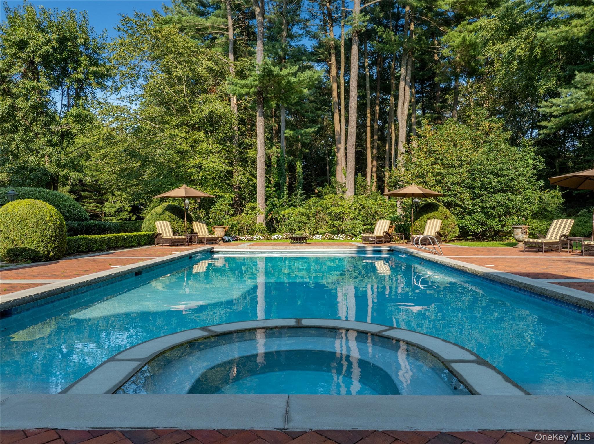 39 Chestnut Hill Drive thumbnail 39