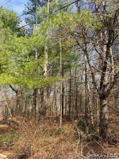 1304 Us Route 209 thumbnail 5