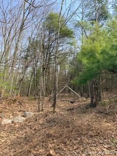 1304 Us Route 209 thumbnail 7