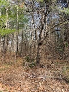 1304 Us Route 209 thumbnail 4