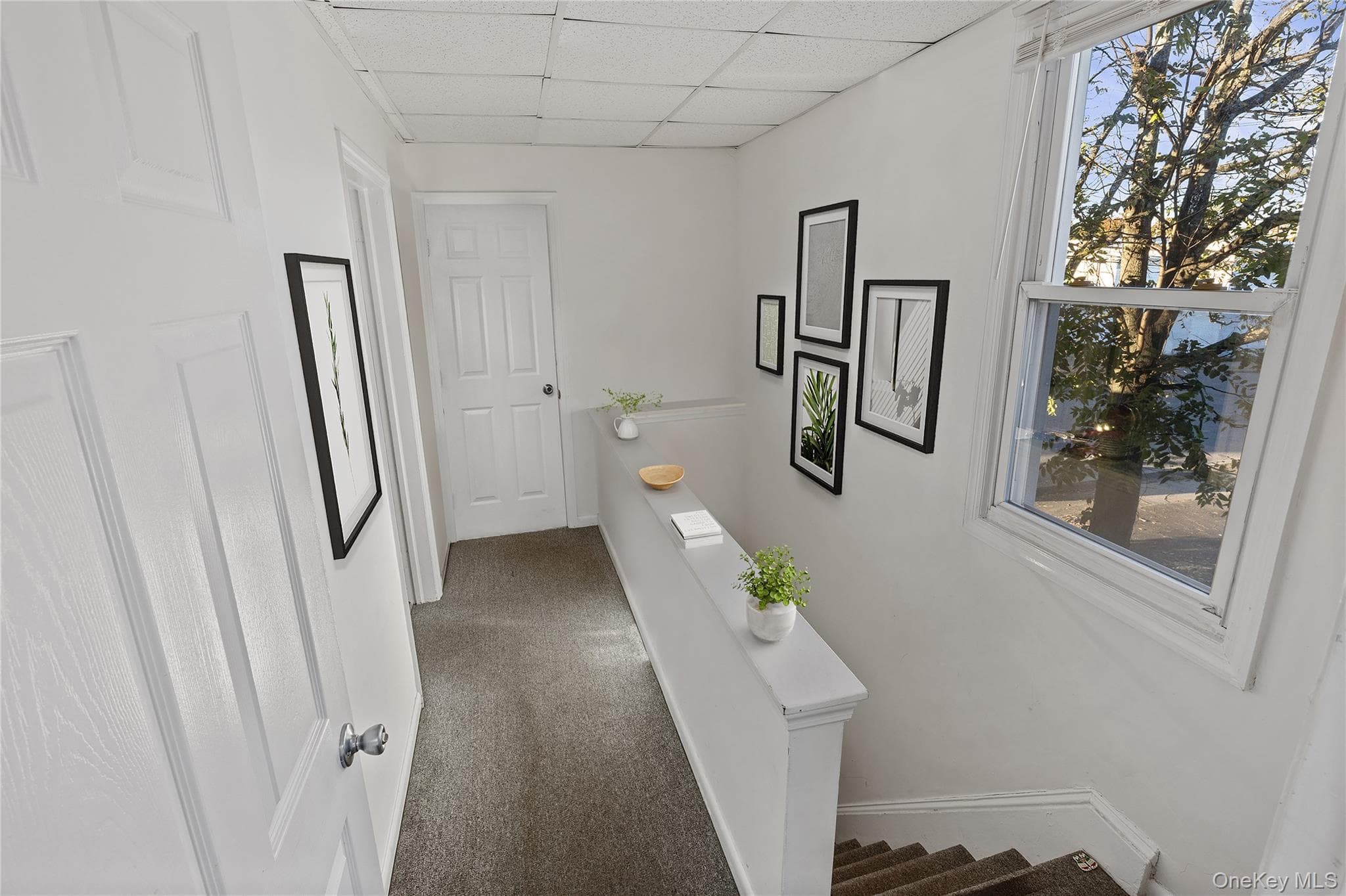 15 E Carl Street thumbnail 10