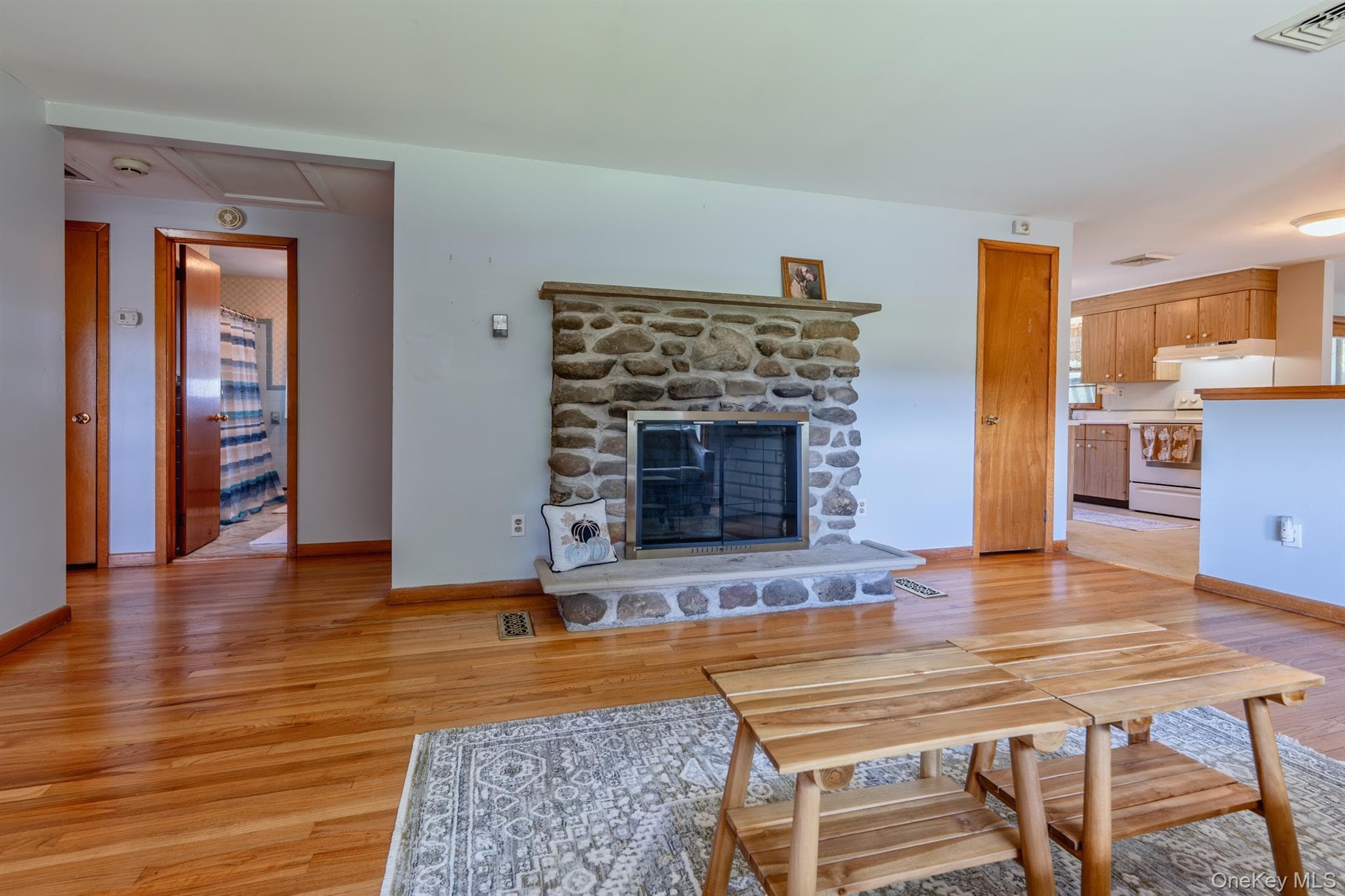105 Orchard Street thumbnail 11