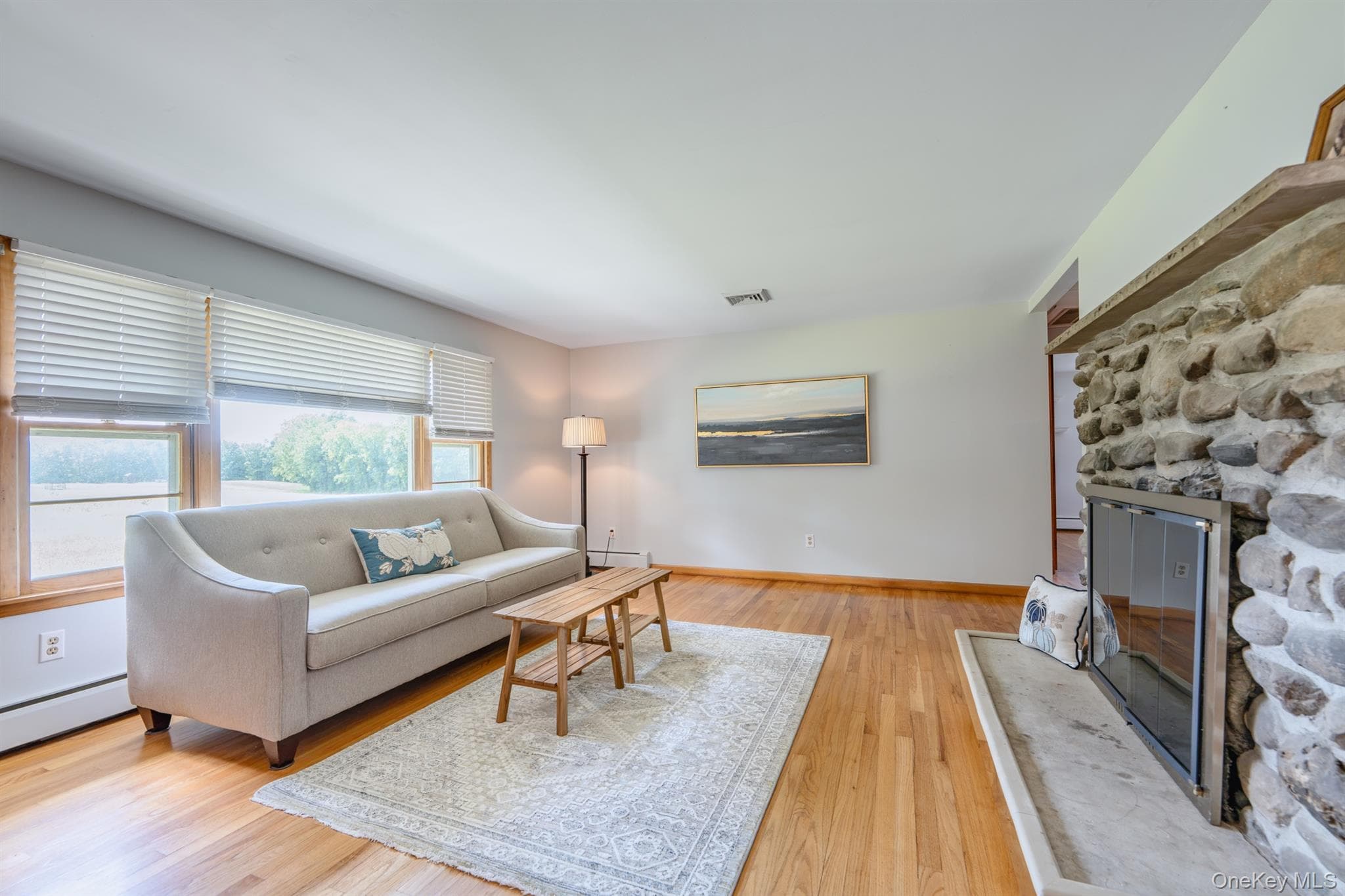 105 Orchard Street thumbnail 9