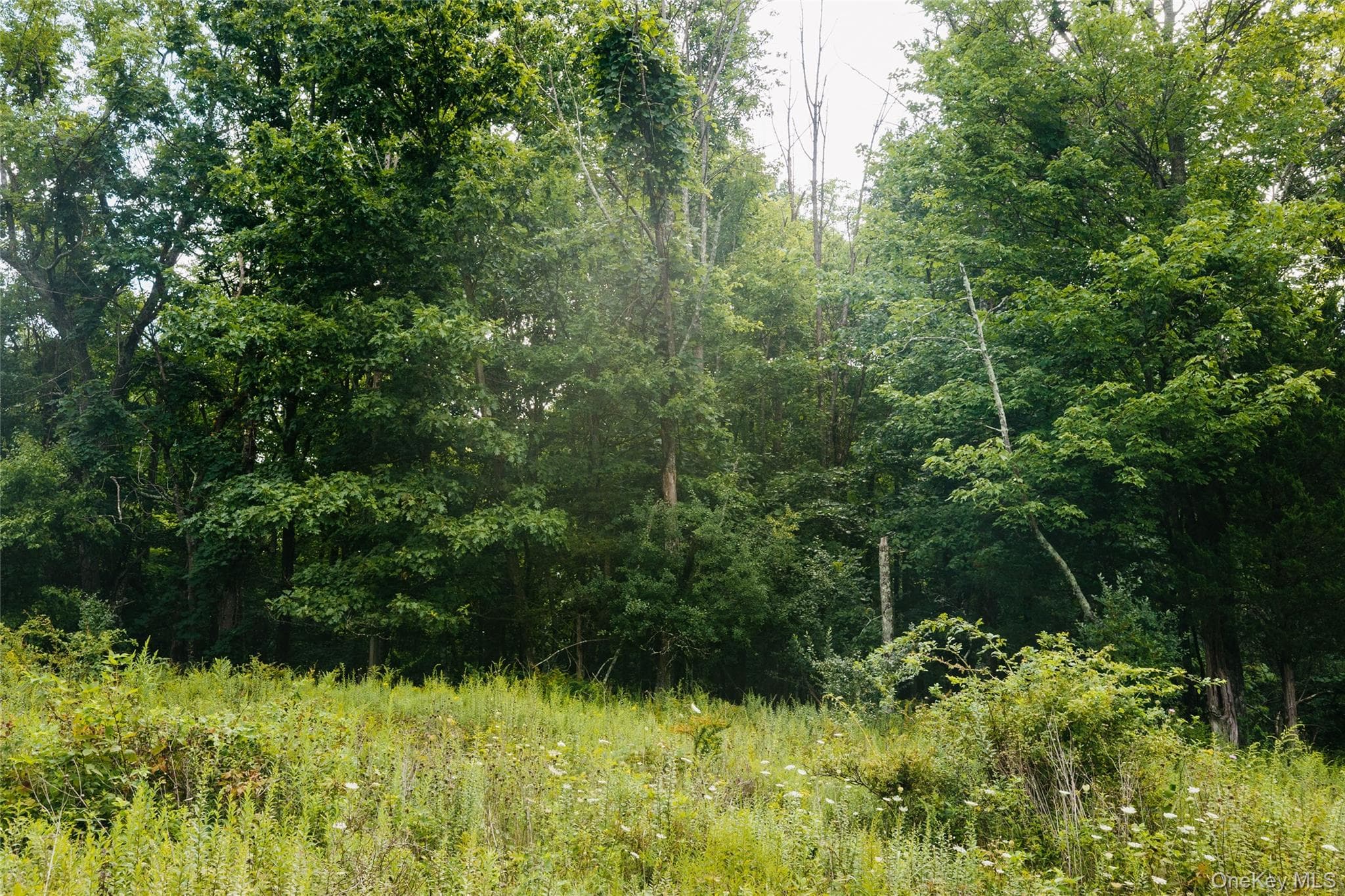 92 Restorative Lane thumbnail 6