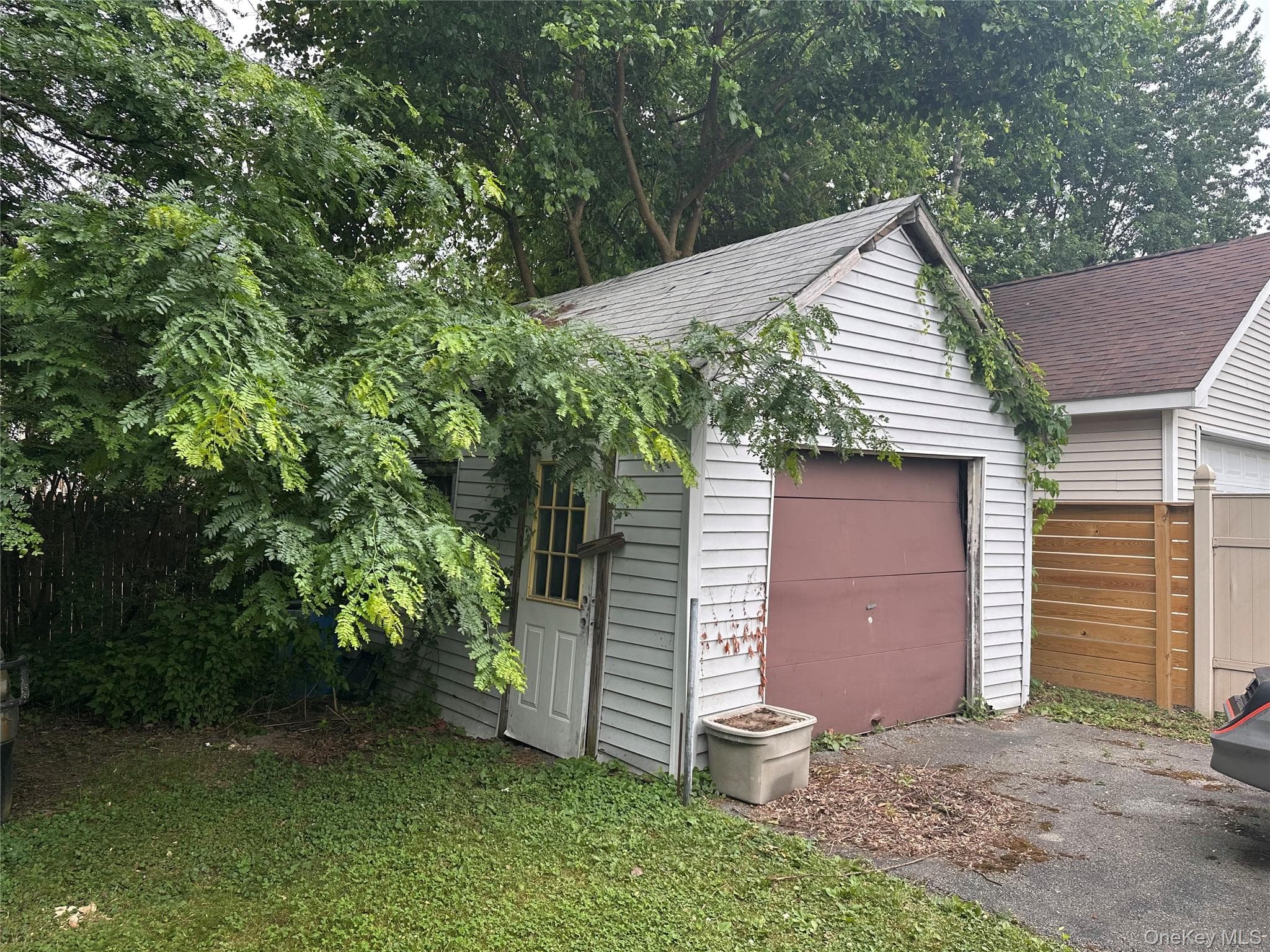 84 Wilkes Street thumbnail 19
