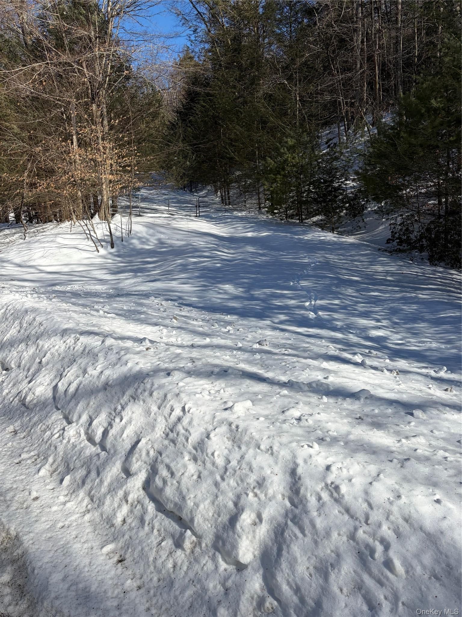 State Route 55 thumbnail 13