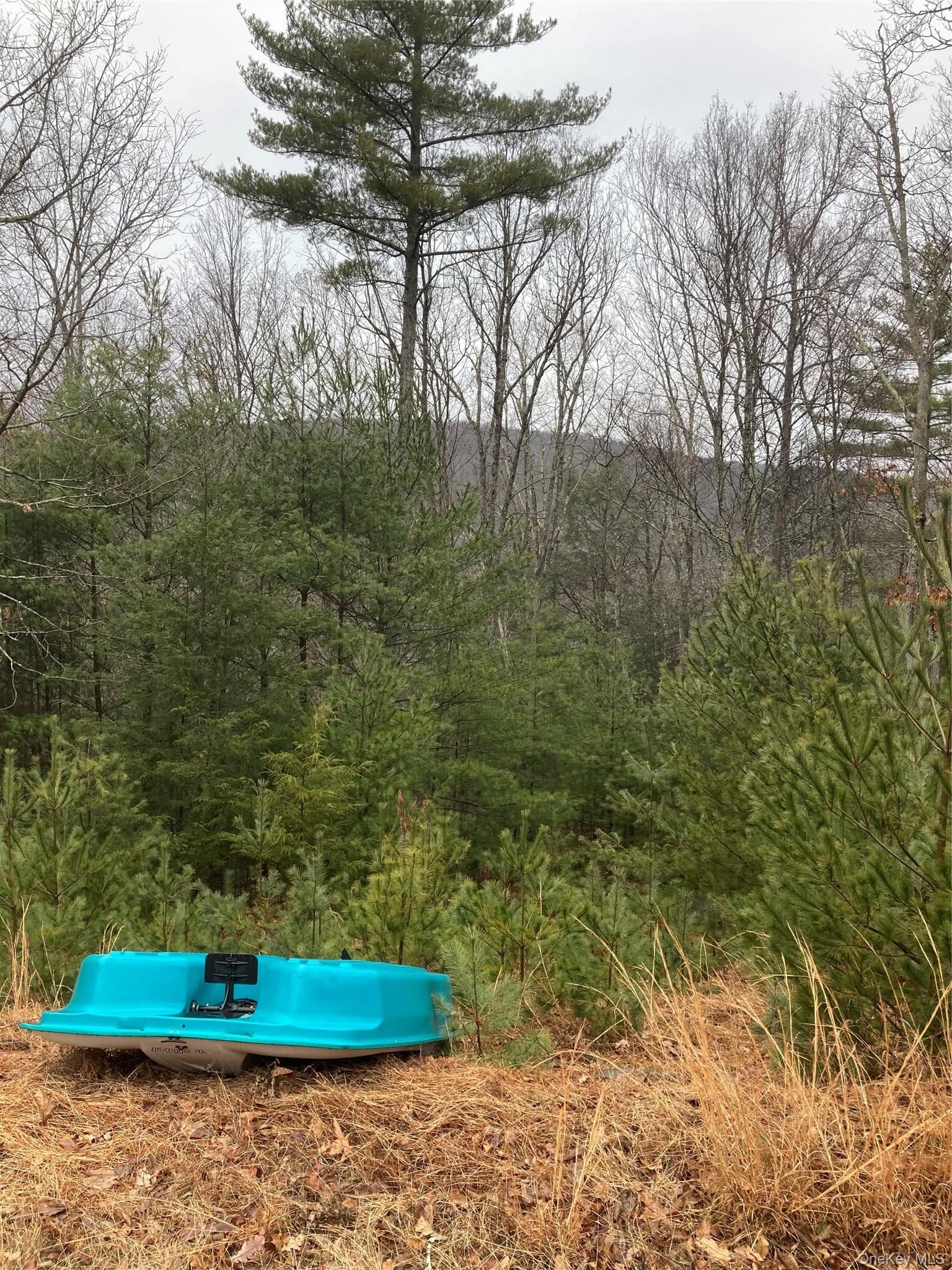State Route 55 thumbnail 12