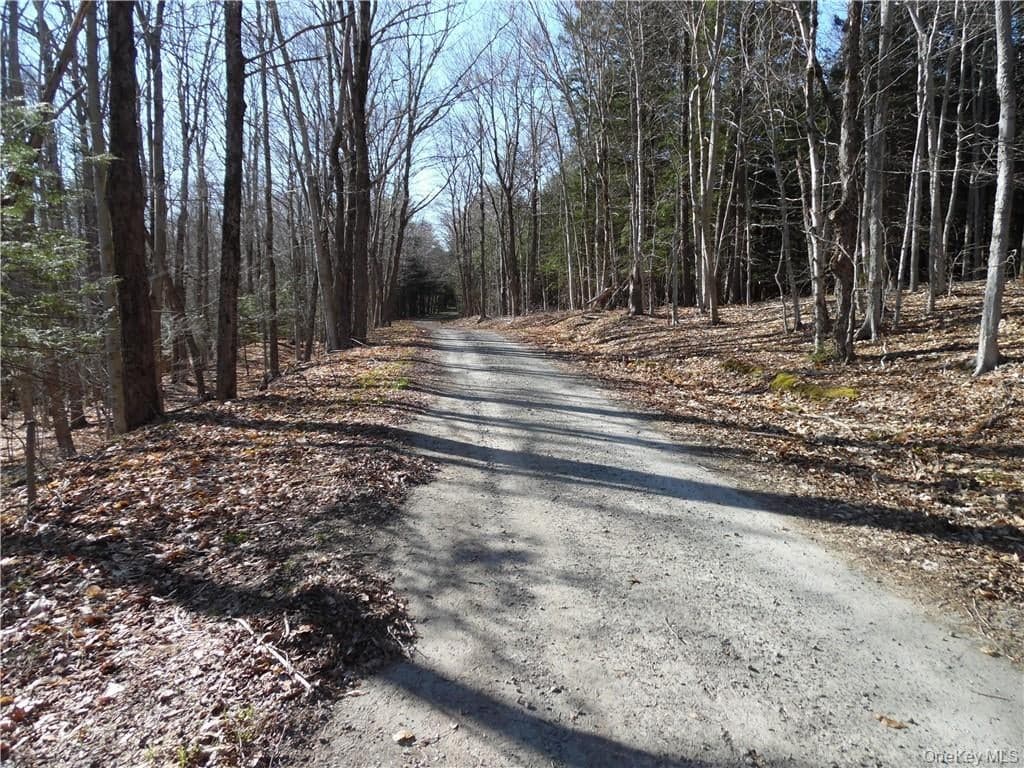 183 Revonah Hill Road thumbnail 5