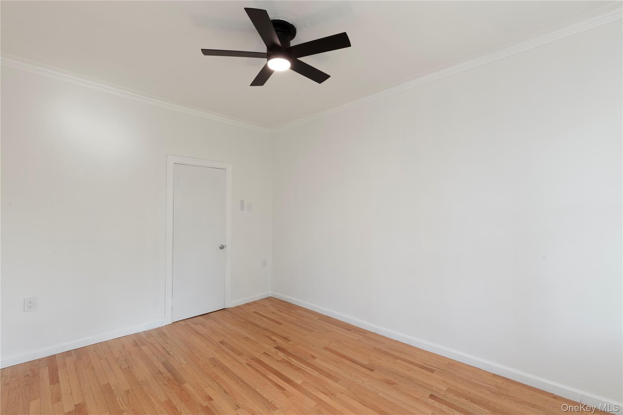 501 Vandervoort Avenue thumbnail 16