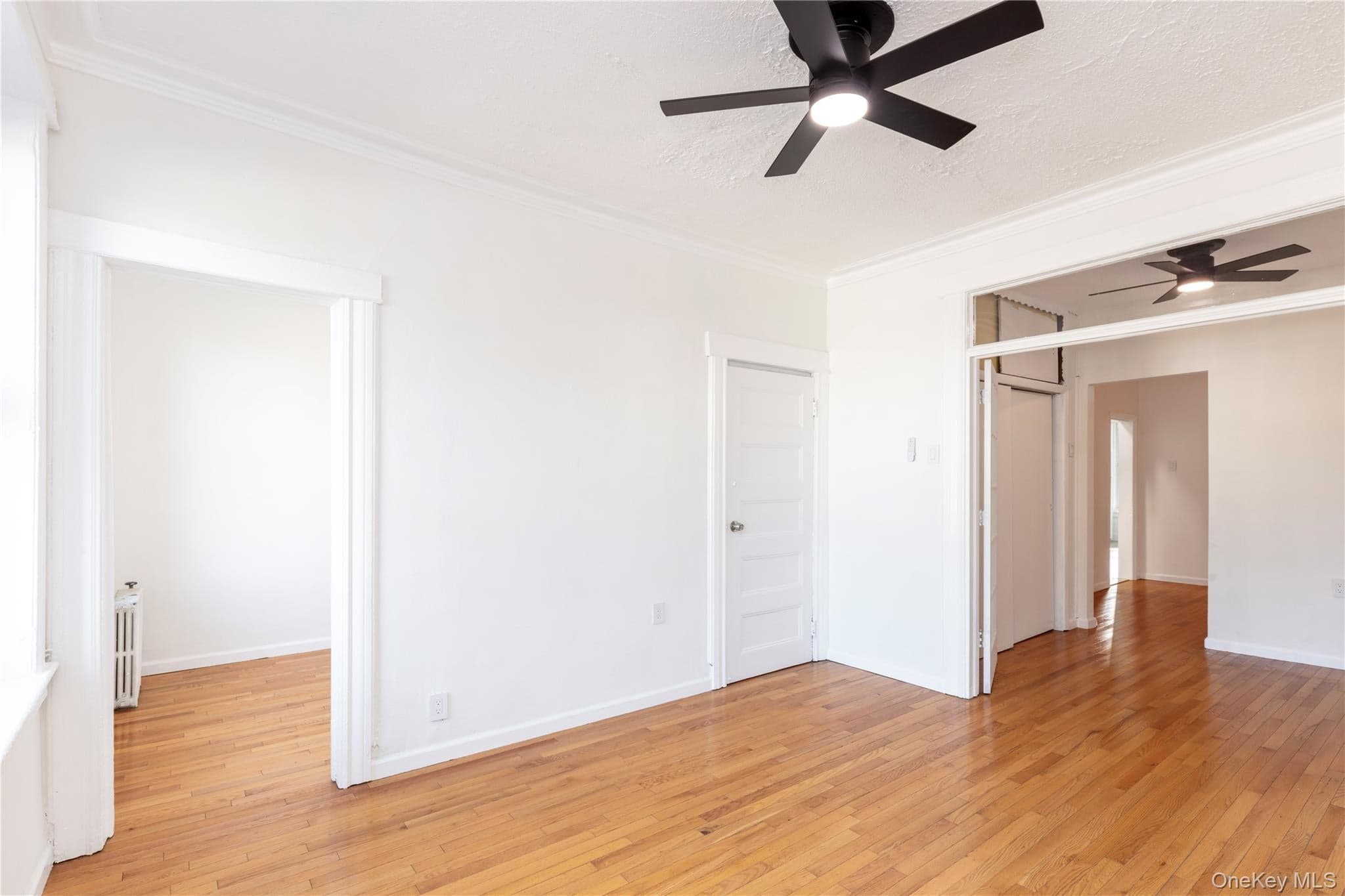 501 Vandervoort Avenue thumbnail 7