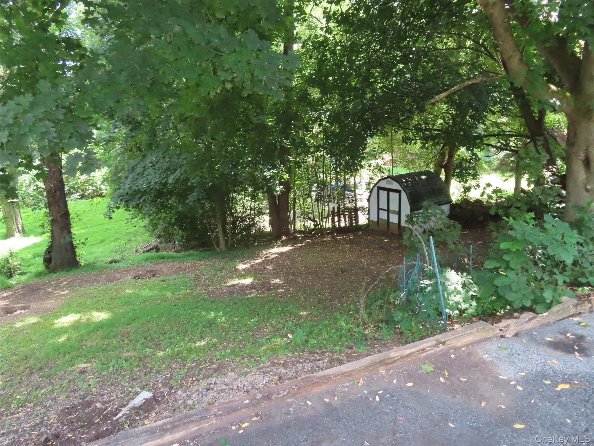 4 Wilbur Road thumbnail 14