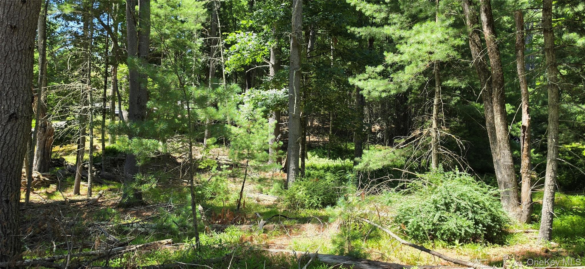 Lot # 7 Irishtown Road, Narrowsburg