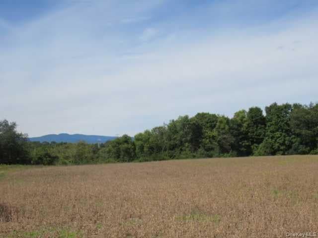 County Road 19 thumbnail 3